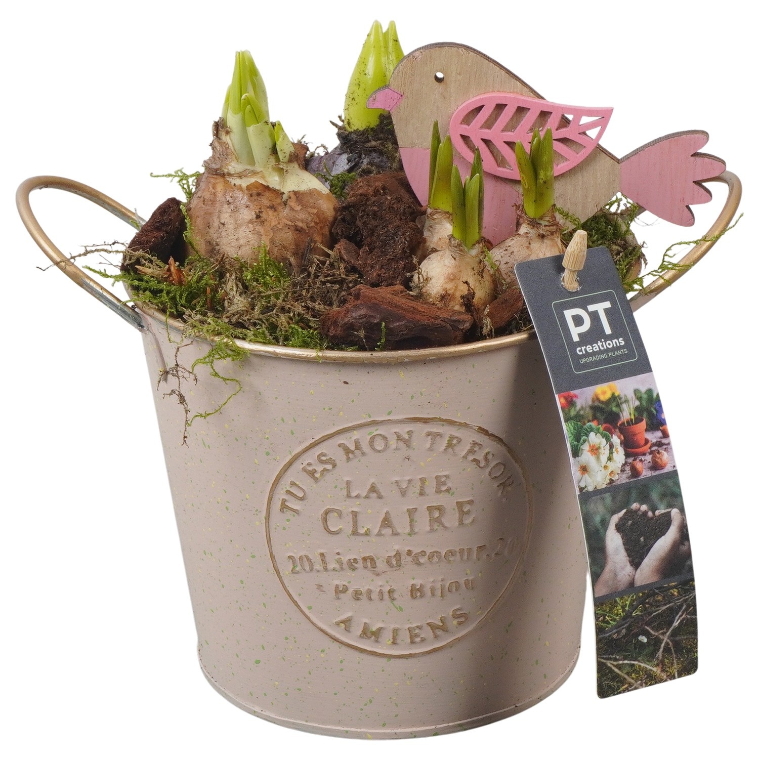 PTBM3748 Arrangement Flower Bulbs Mix in metalen pot, D 13