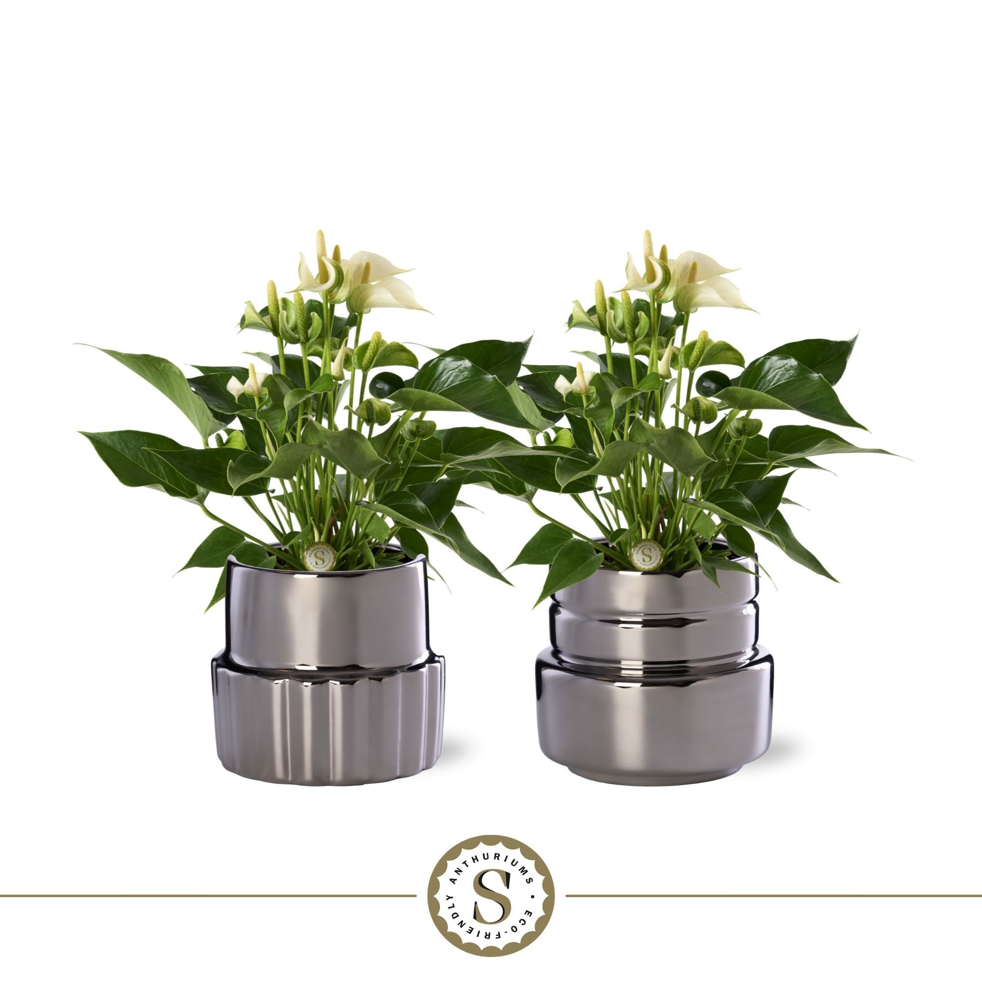 Oslo Silver Keramiek 12cm White, D 12 cm Oslo Silver Keramiek 12cm White, D 12 cm
