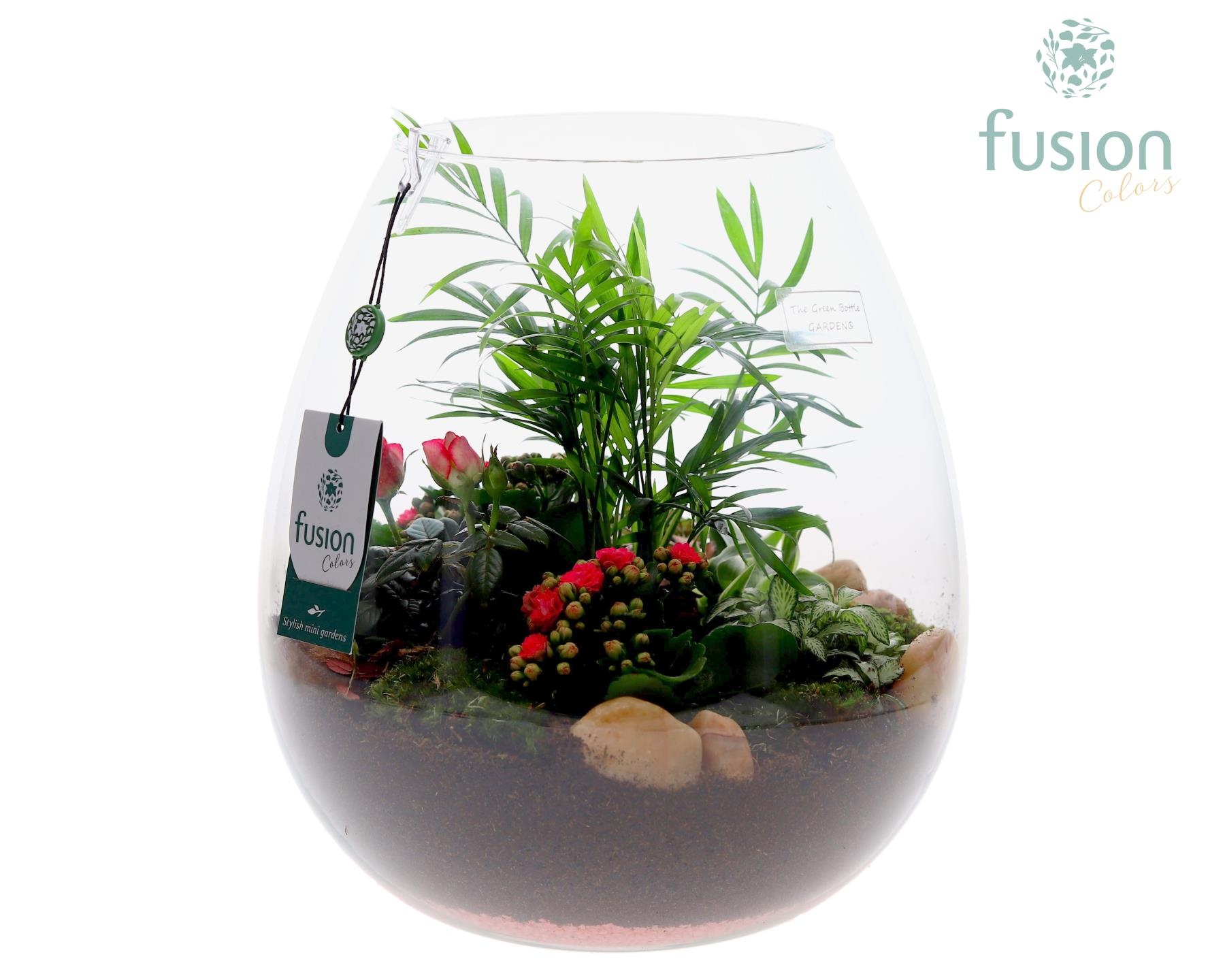 Green Bottle Abby XLarge Love met arrangement, D 29