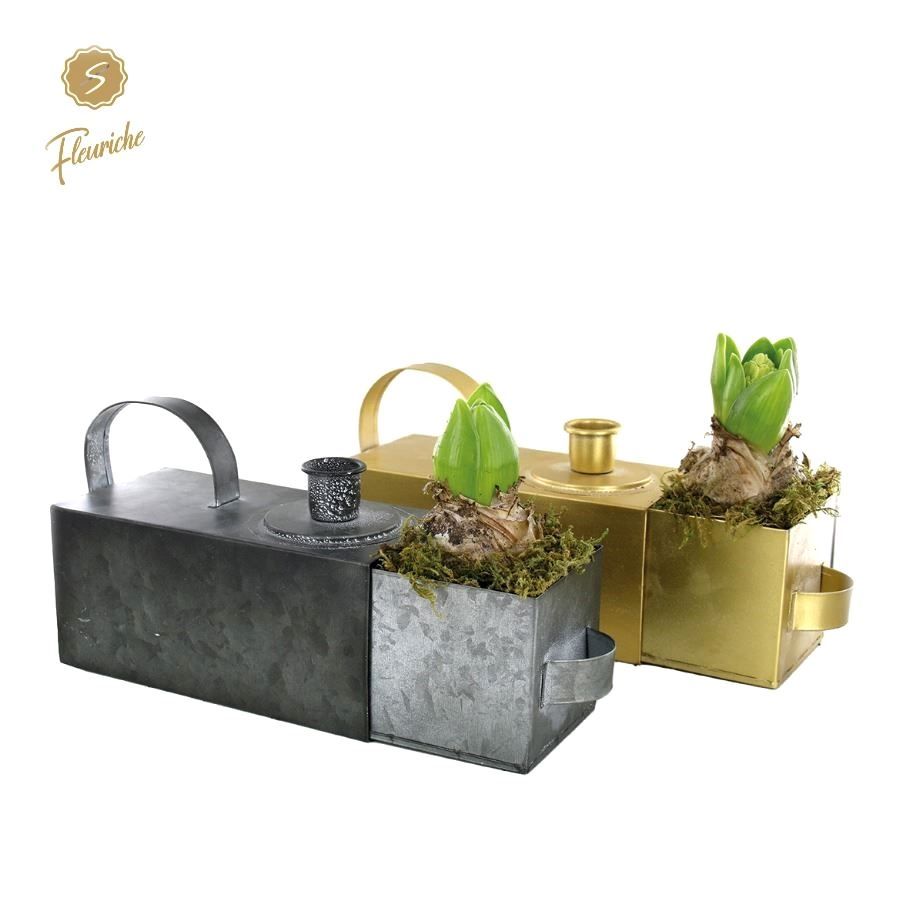 (1500) Hyacint Candle Chateau 1PP Mos, D 28 cm