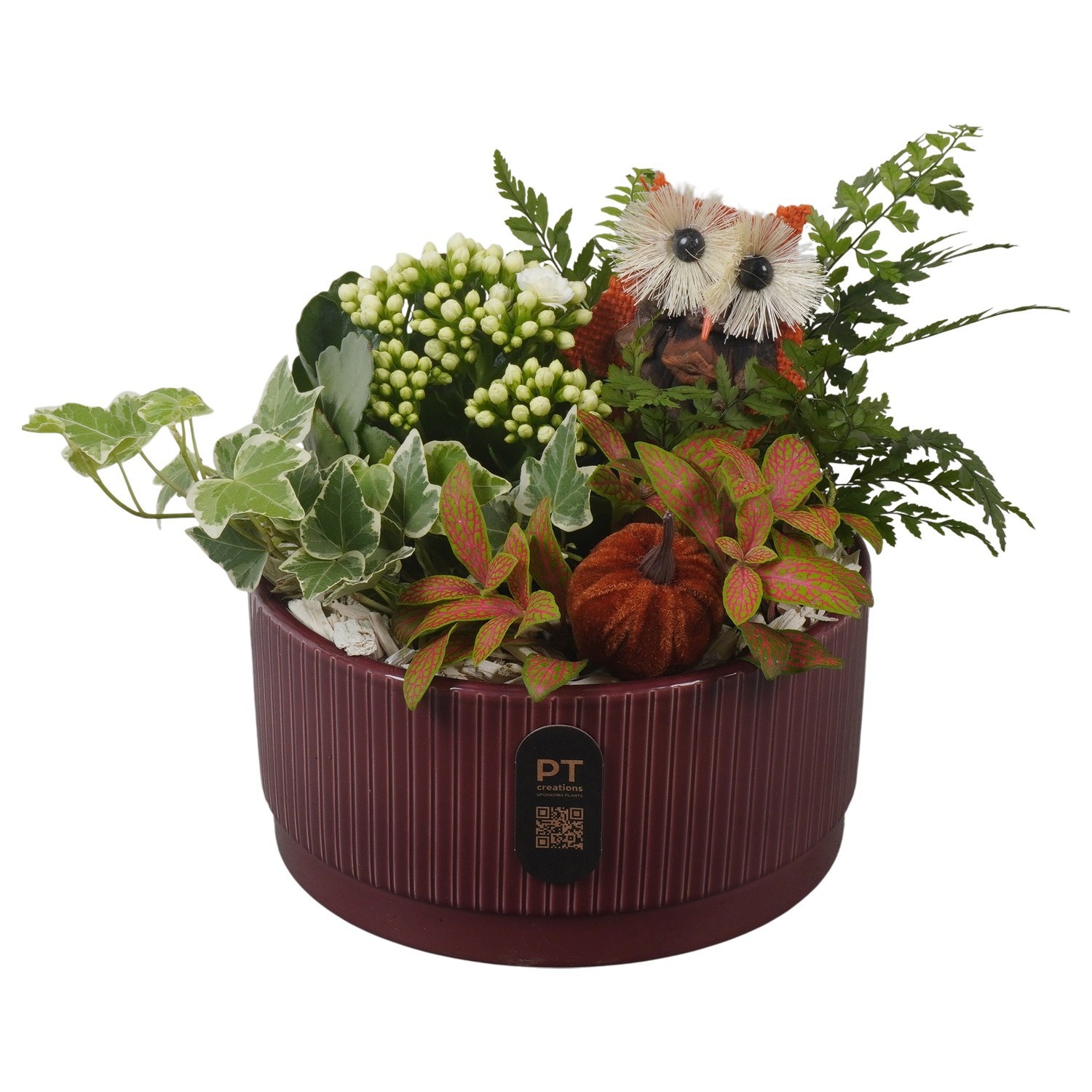 PTHI3220 Arrangement Autumn Indoor in keramiek schaal, D 19