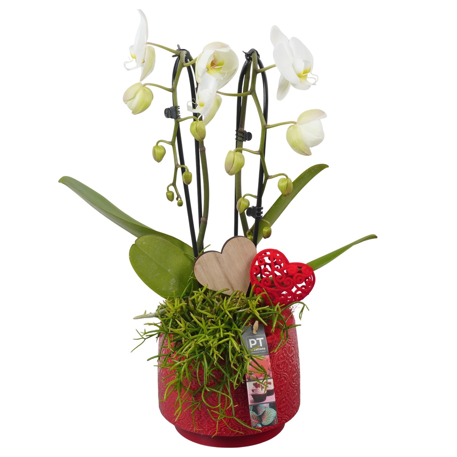 PTVMB2233 Arrangement Valentines-Mothersday in keramiek sierpot, D 17