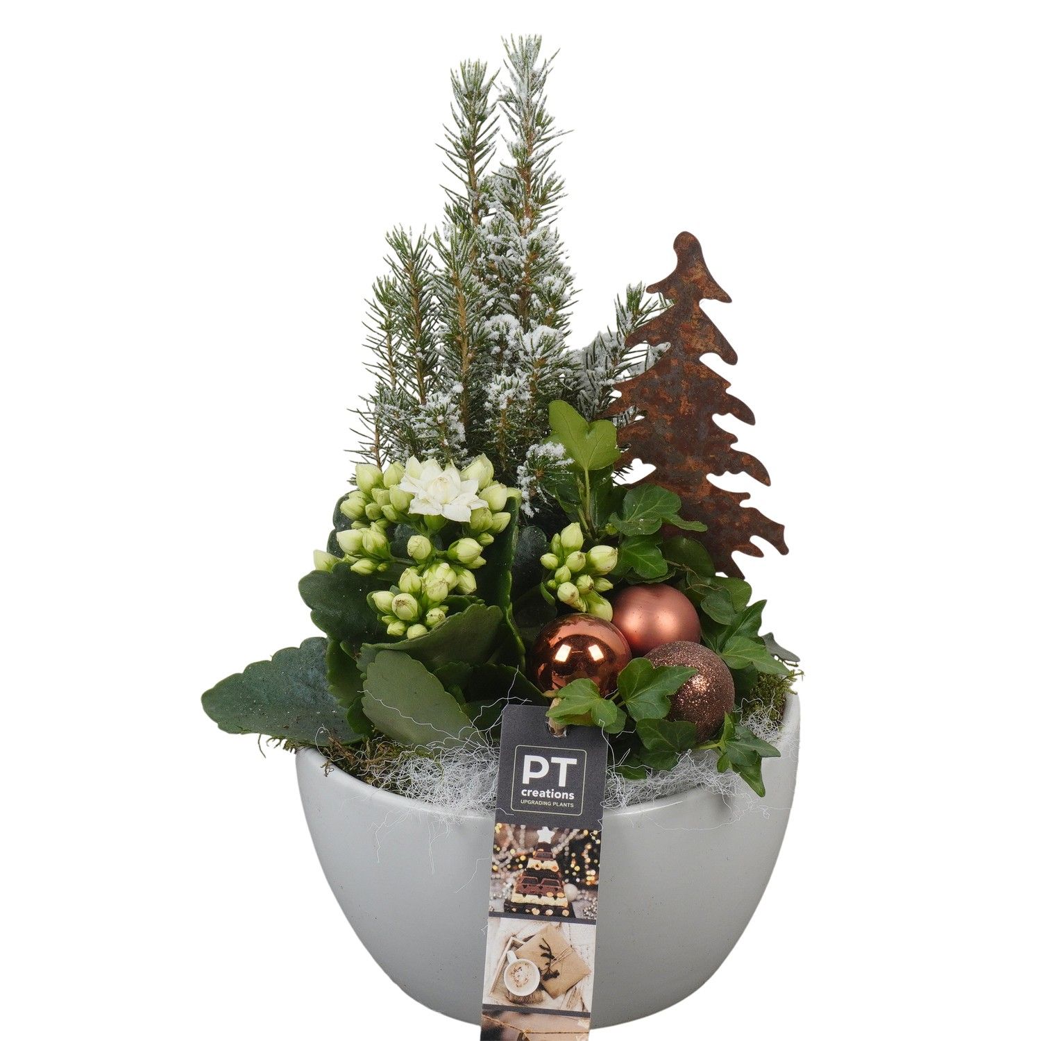 PTCHB9747 Arrangement Christmas Bronze in keramiek schaal, D 15 cm