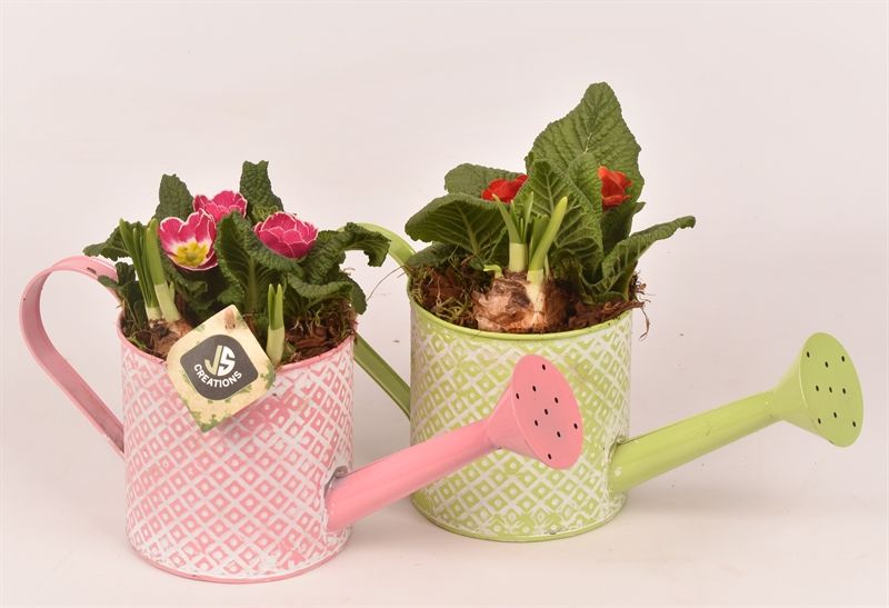 Zink gieter groen/roze 12cm, D 12