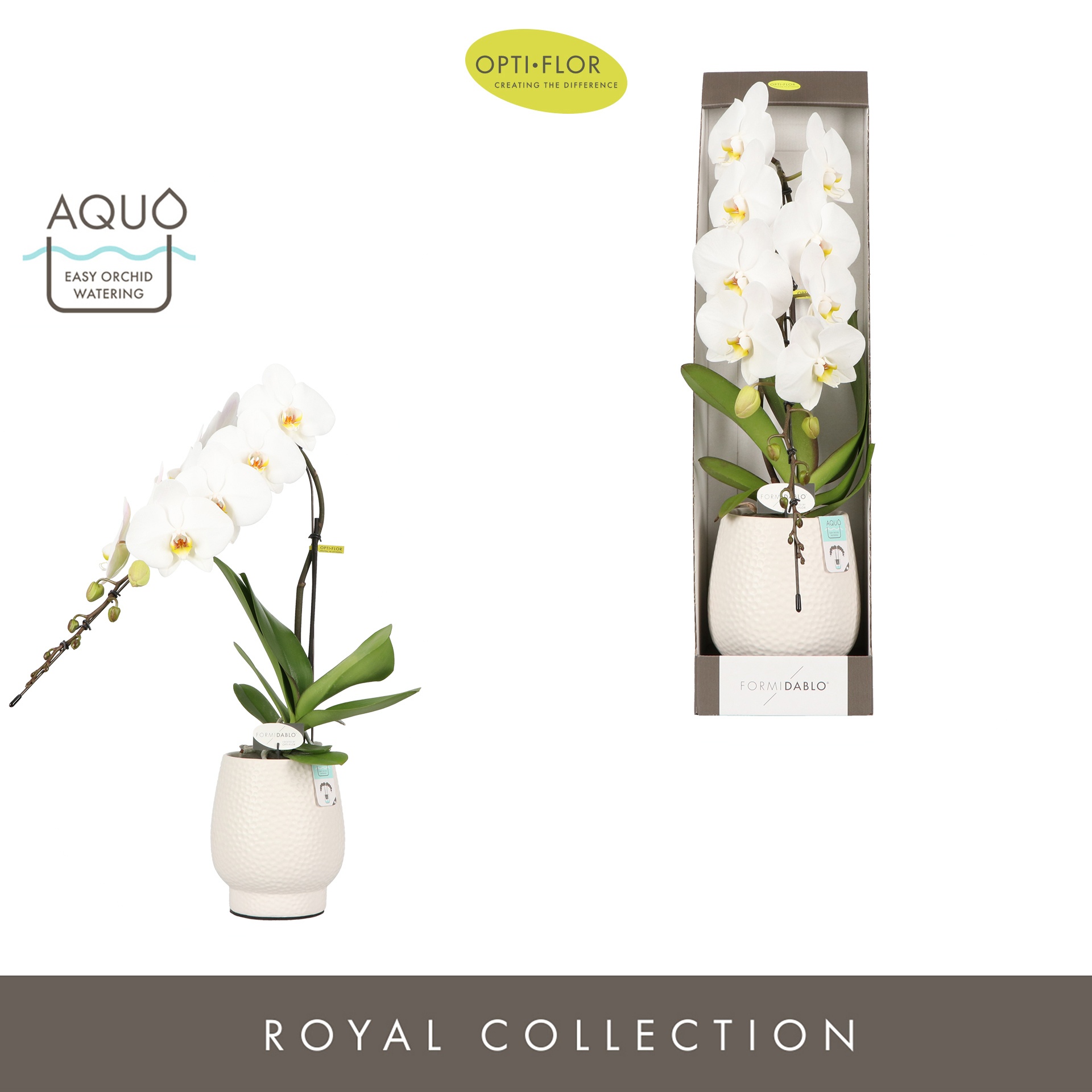 Formidablo Niagara Falls in Abruzzo White Aquo Showdoos, D 12