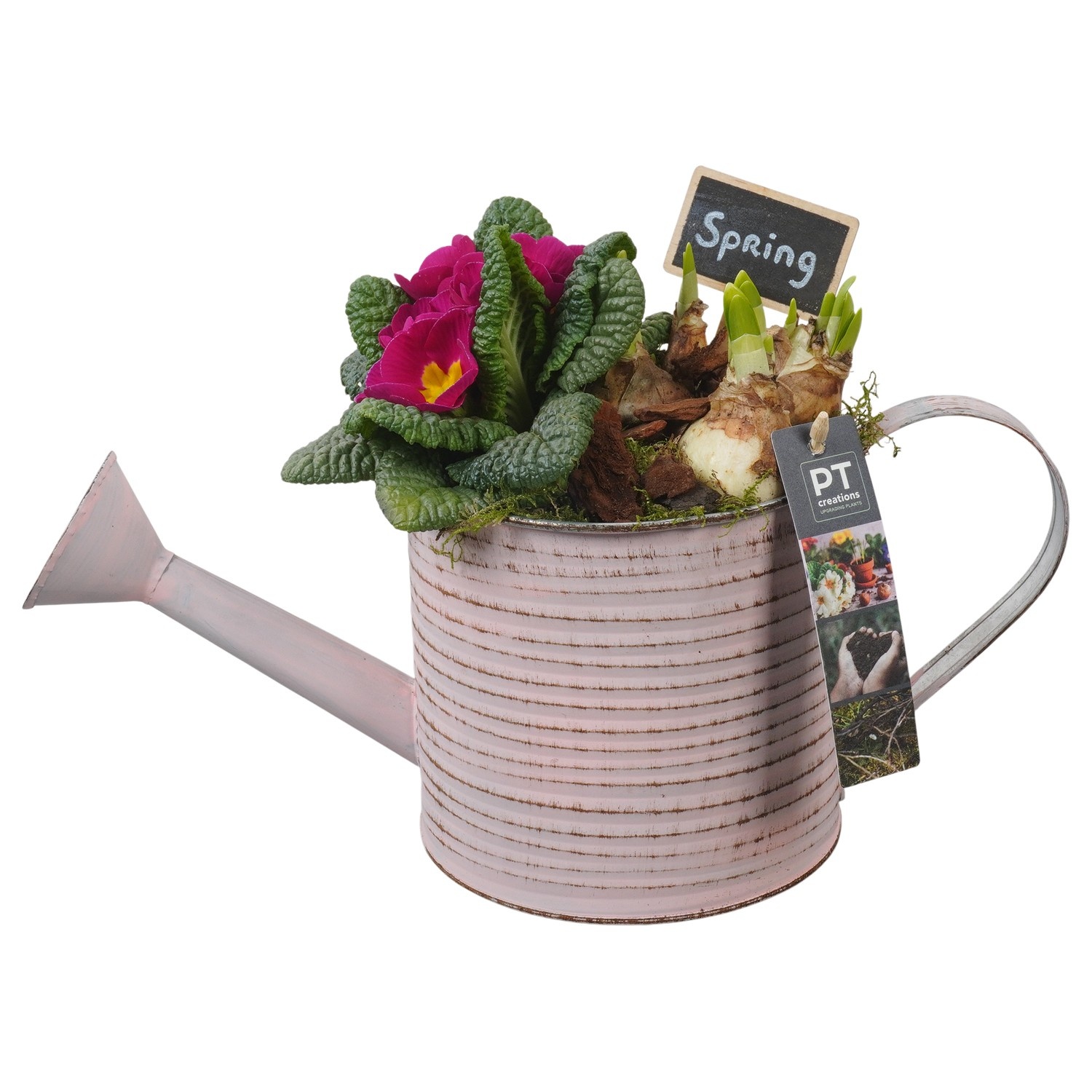 PTBM3735 Arrangement Flower Bulbs Mix in metalen gieter, D 16