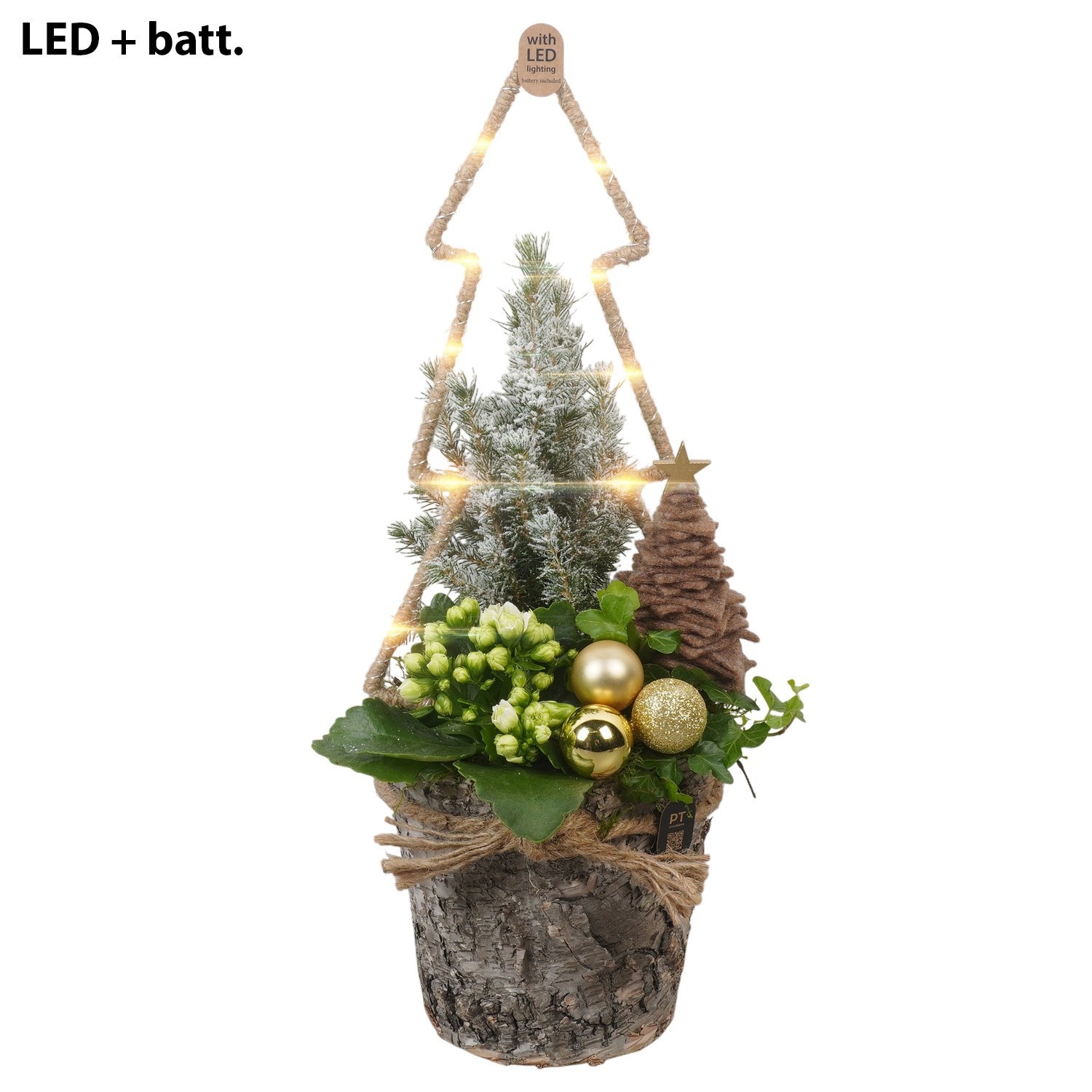 PTCHG4702 Arrangement Christmas Gold in houten pot met LED, D 15