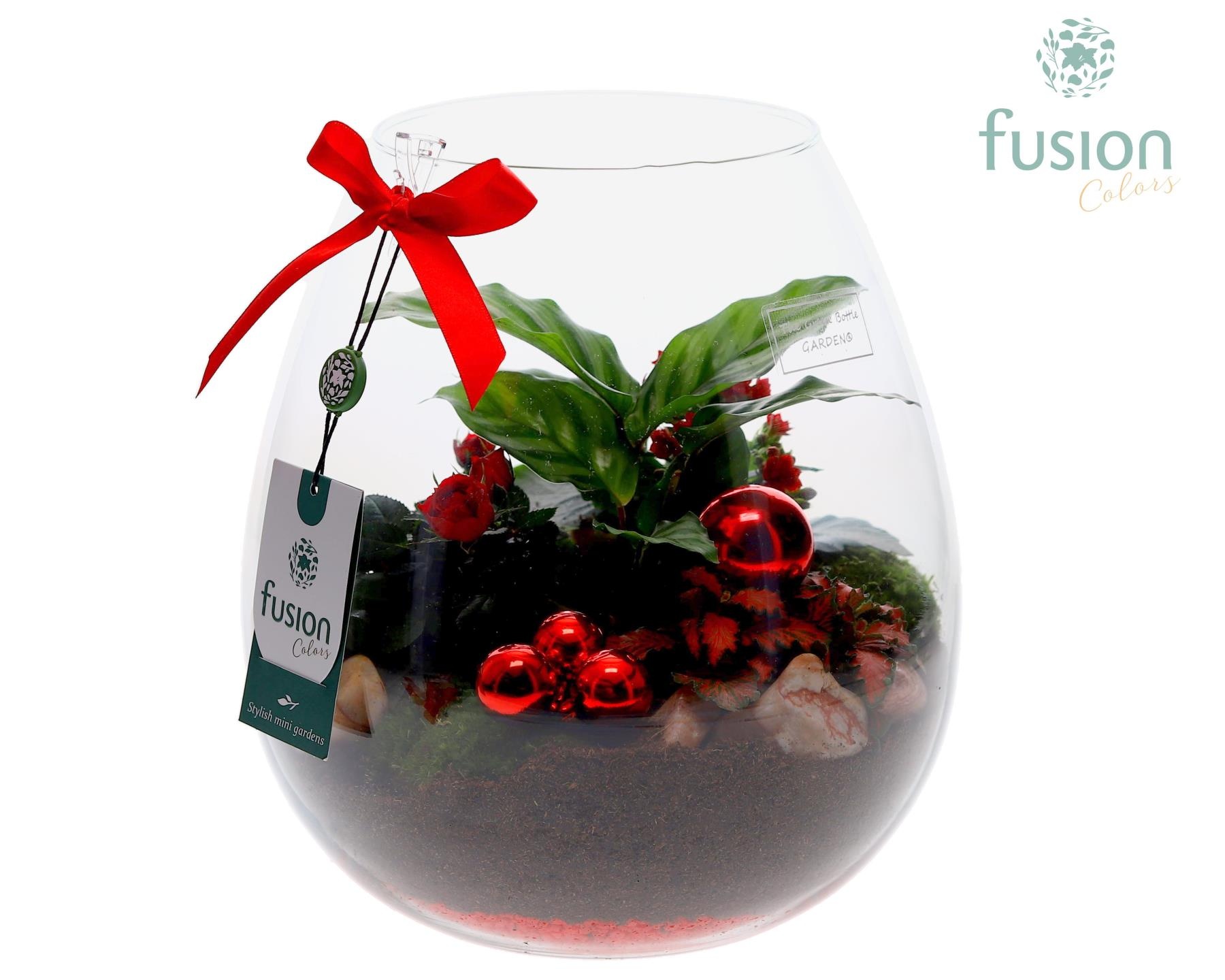 Green Bottle Abby Large Kerst met Arrangement, D 24