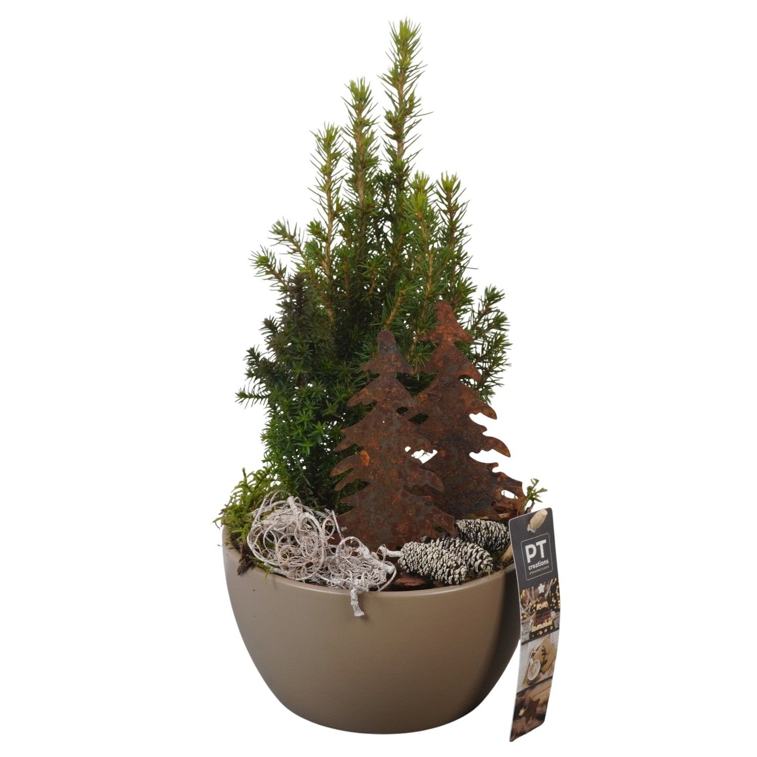 PTCWW6924 Arrangement Winter in keramiek schaal, D 15 cm