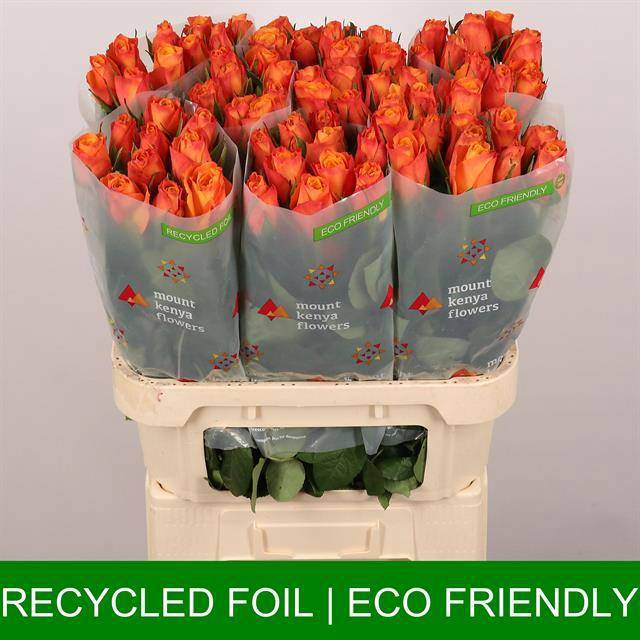 Роза од. Конфиденшиал 80, шт.