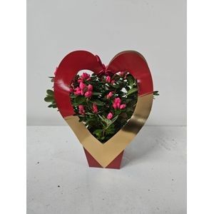 016 : Pot 13 cm Azalea rood in rood gold hart tasje, D 13