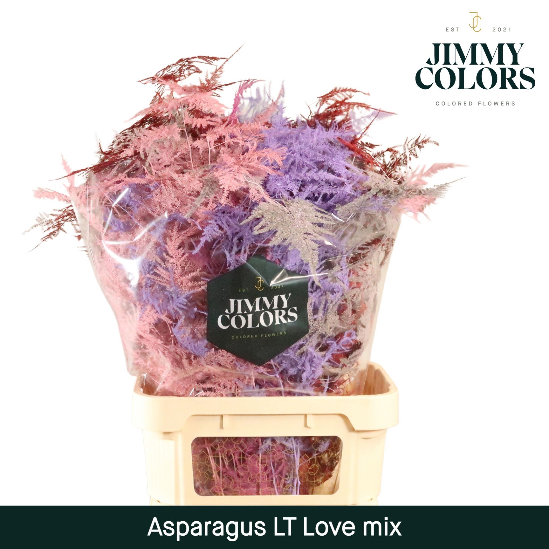 Аспарагус Овериг Крашеный (краш. ) 80, шт.