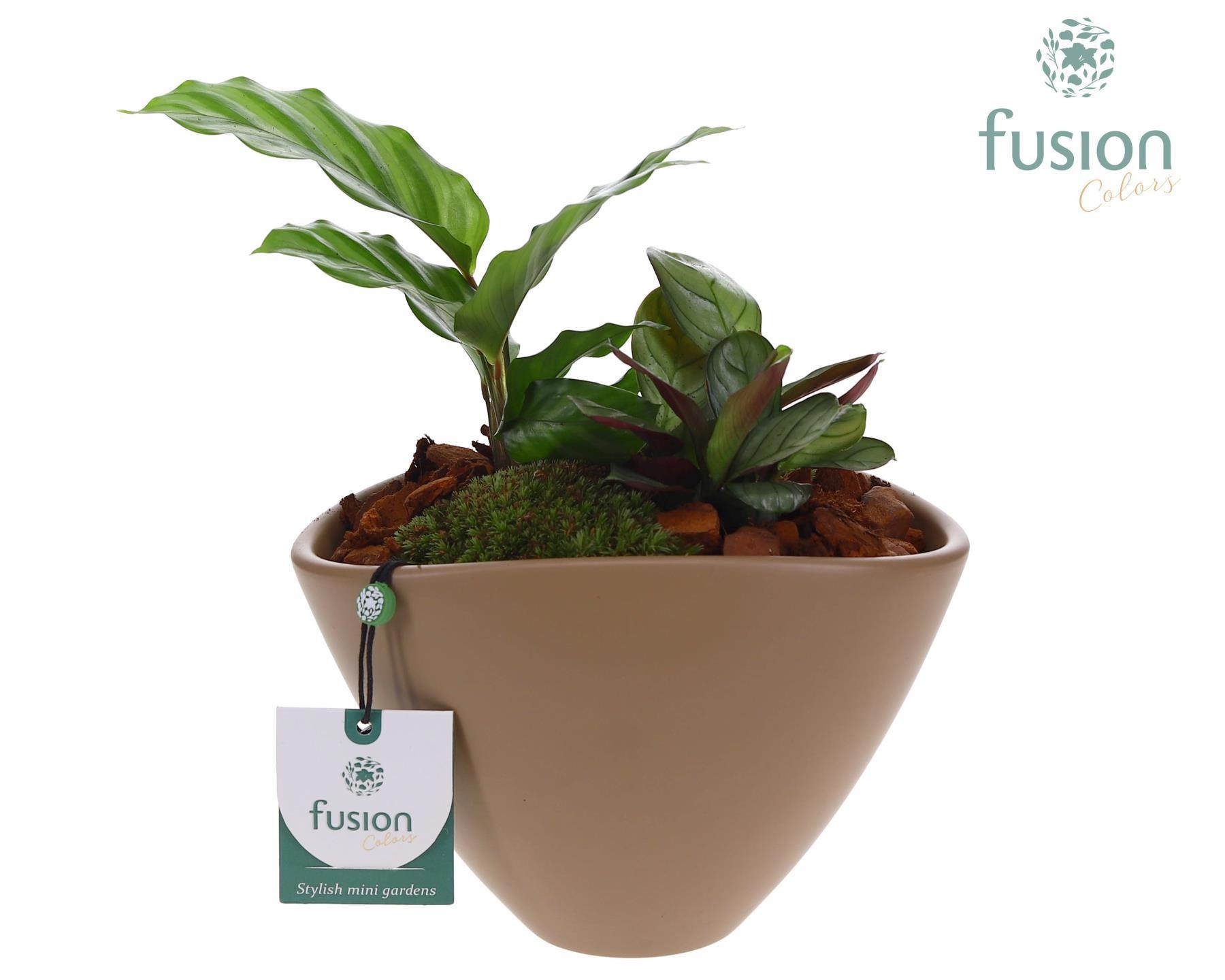 Pot keramiek ovaal Medium beige met Arrangement, D 18