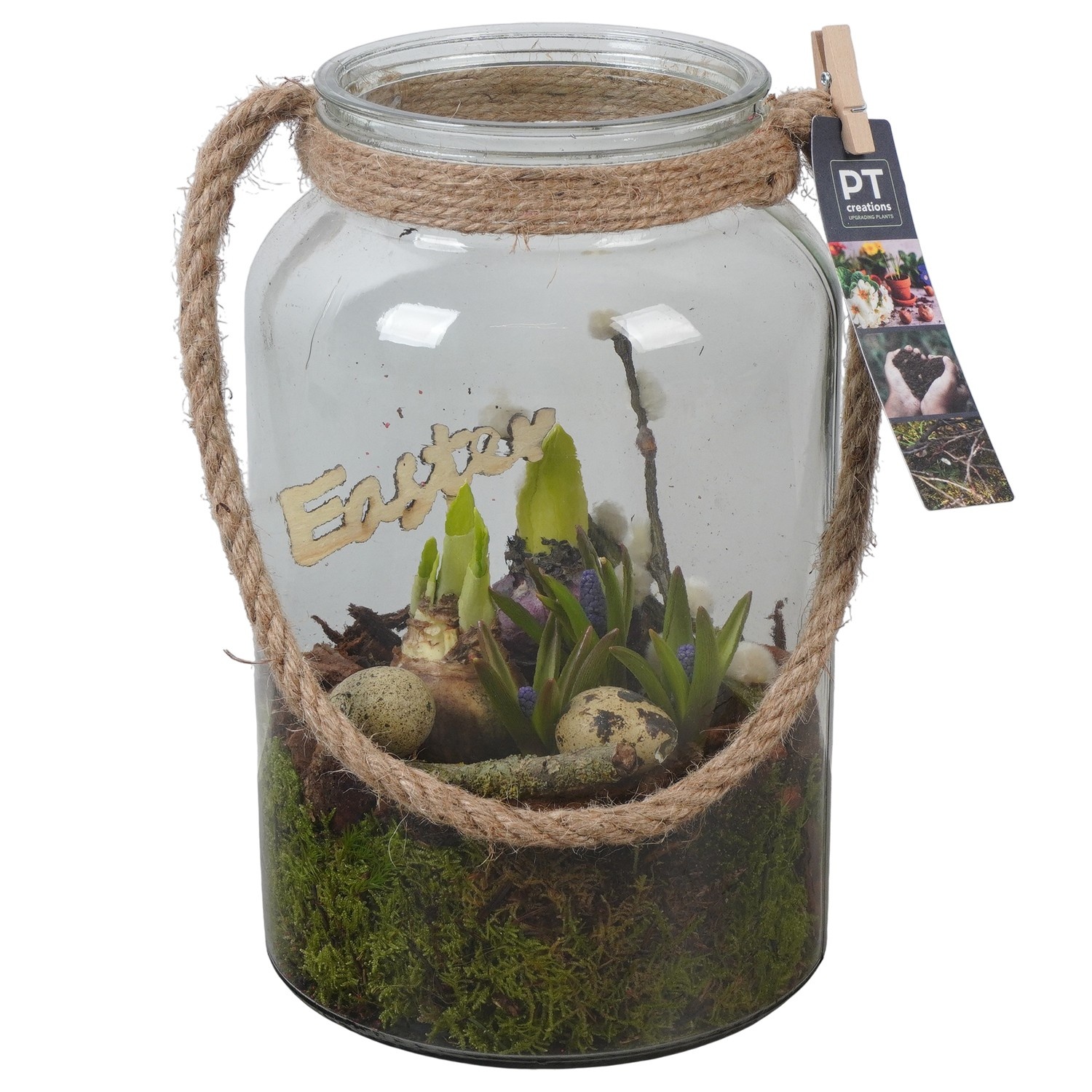 PTBMP5754 Arrangement Easter Bulbs Mix in glazen vaas, D 16