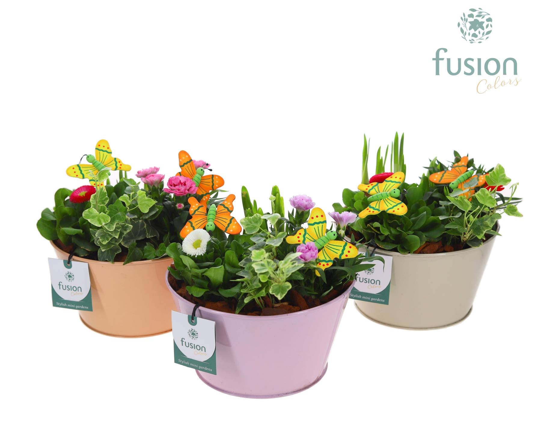 Zink schaal voorjaar div.kleuren met arrangement, D 18 cm