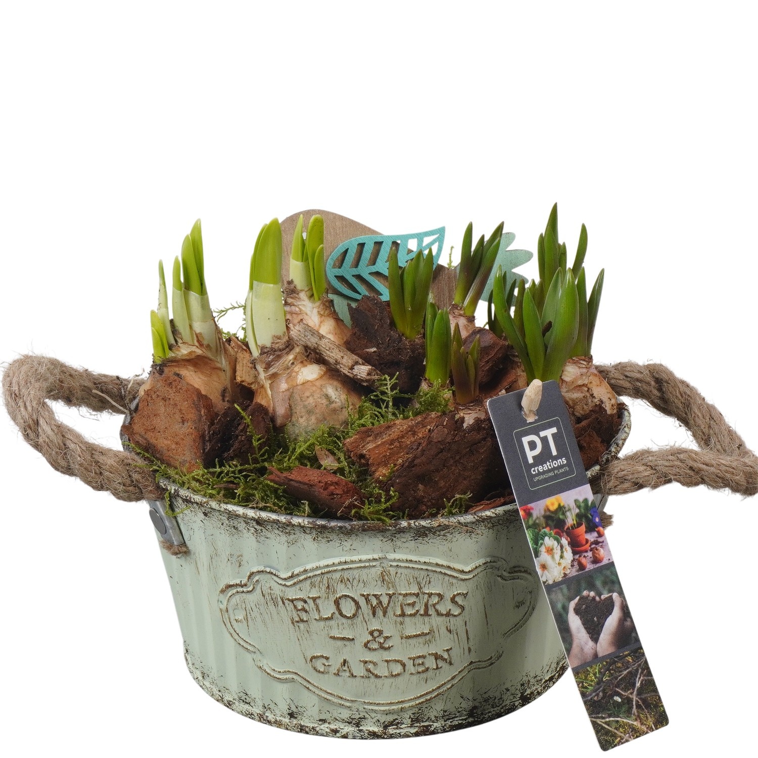 PTBM3771 Arrangement Flower Bulbs Mix in metalen pot, D 16