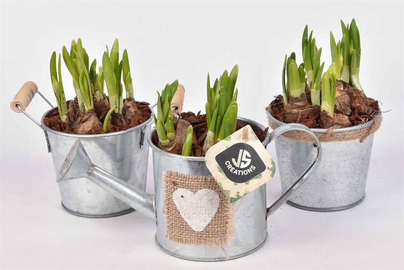 Zink mix blank met jute 10cm, D 10