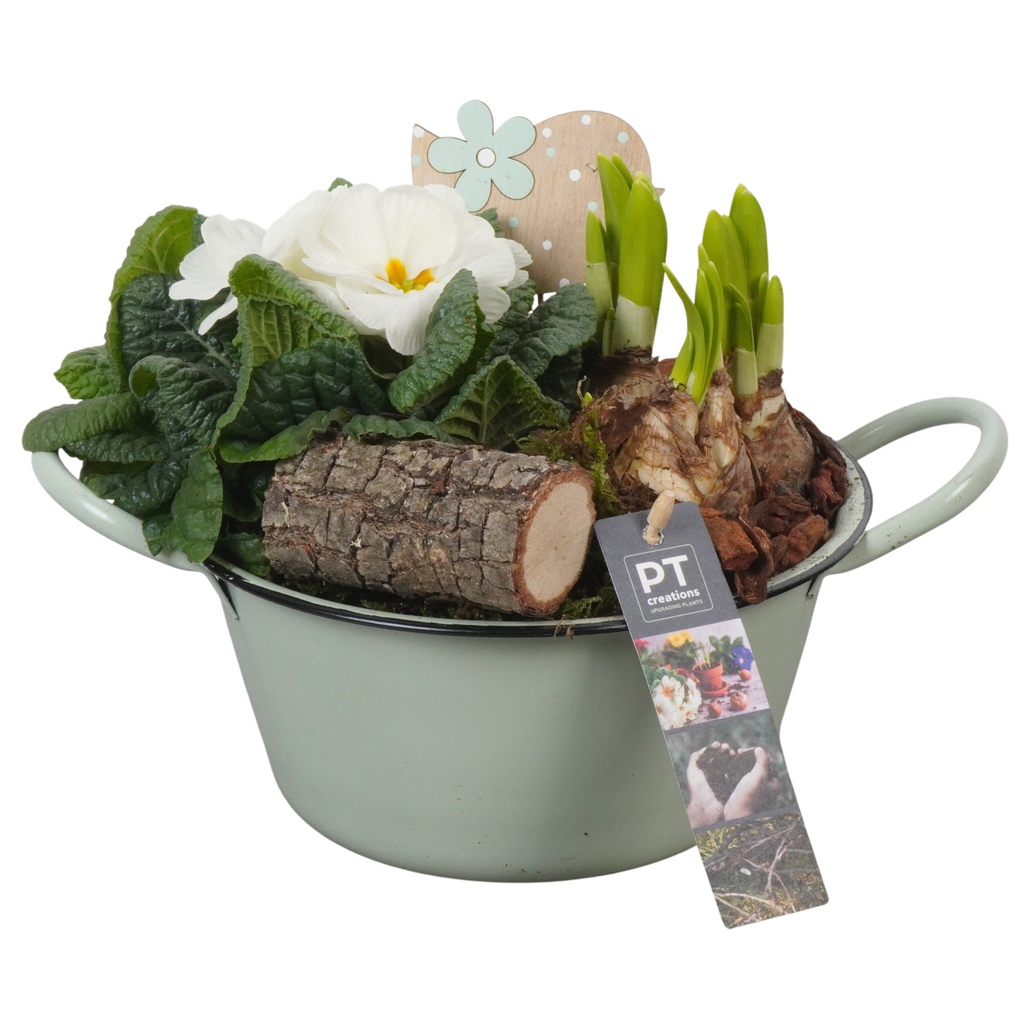 PTBM3727 Arrangement Flower Bulbs Mix in metalen schaal, D 19