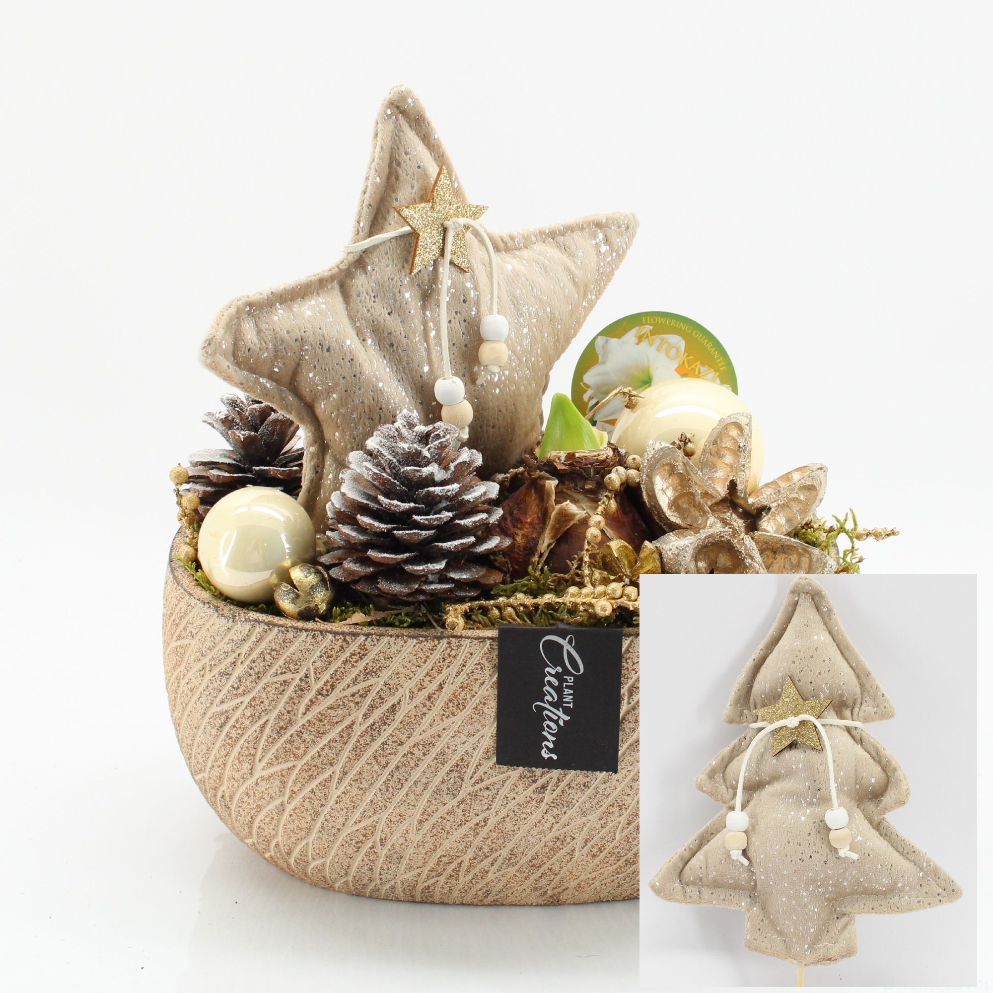 HICR-2519W Kerst Amaryllis, D 23 cm