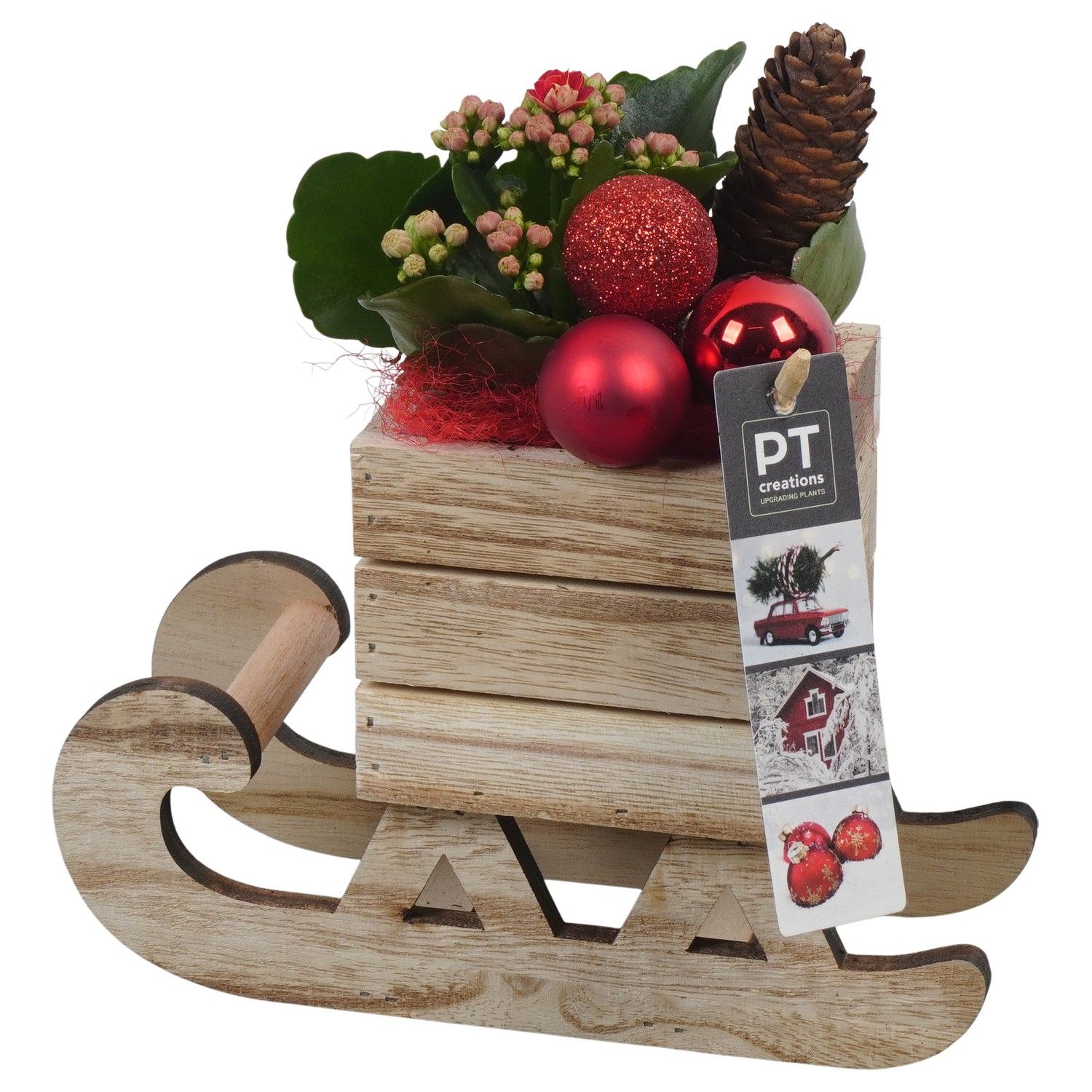 PTCHR7398 Arrangement Christmas Red in houten slee, D 20 cm