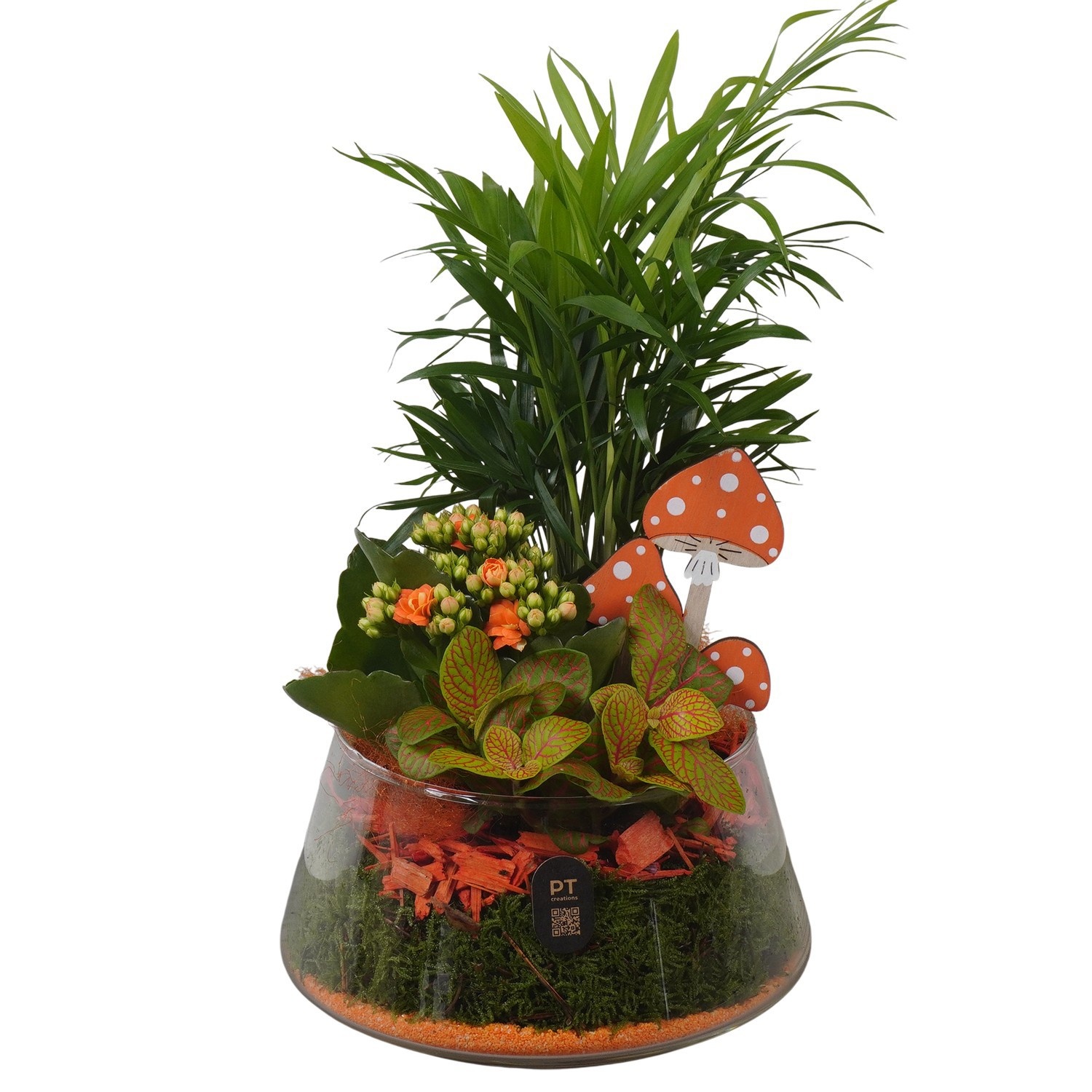 PTHG8238 Arrangement Autumn Glass in glas schaal, D 18