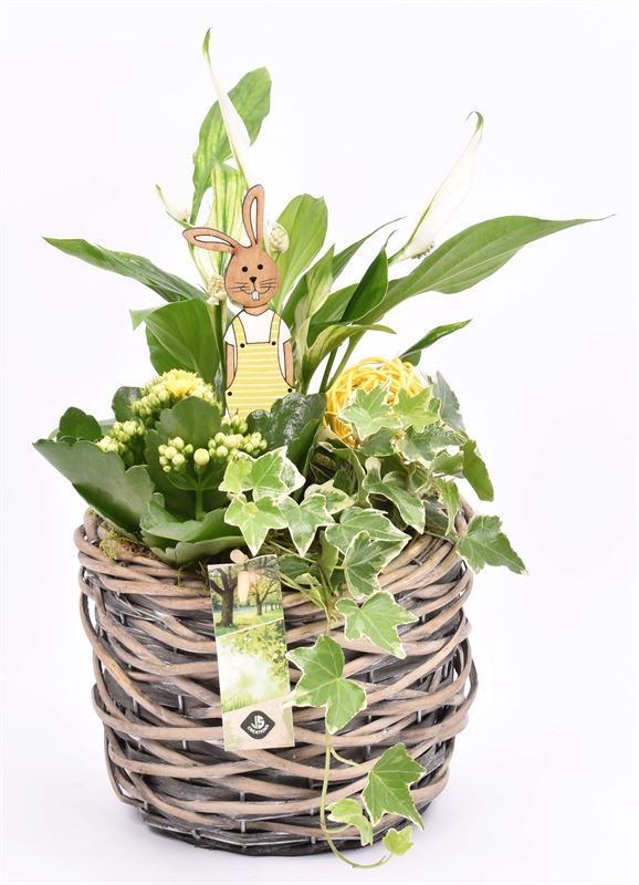 Wilg mand grijs 18cm, D 18