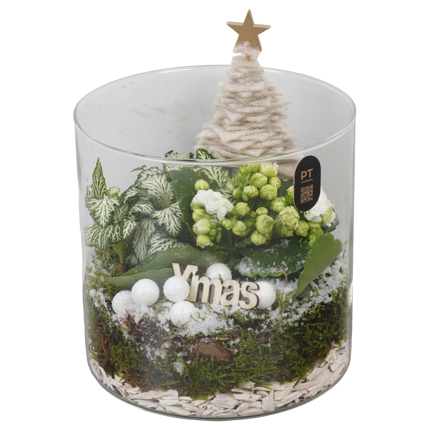 PTCHW7914 Arrangement Christmas White in glazen cylinder, D 15
