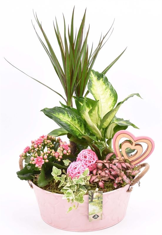 Zink schaal roze hart 25cm, D 25 cm