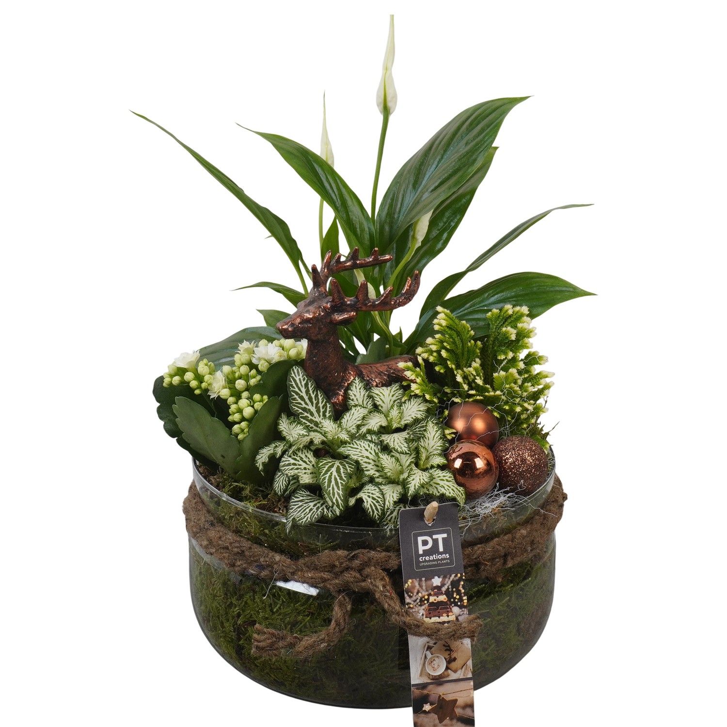 PTCHB9856 Arrangement Christmas Bronze in glas schaal, D 19 cm