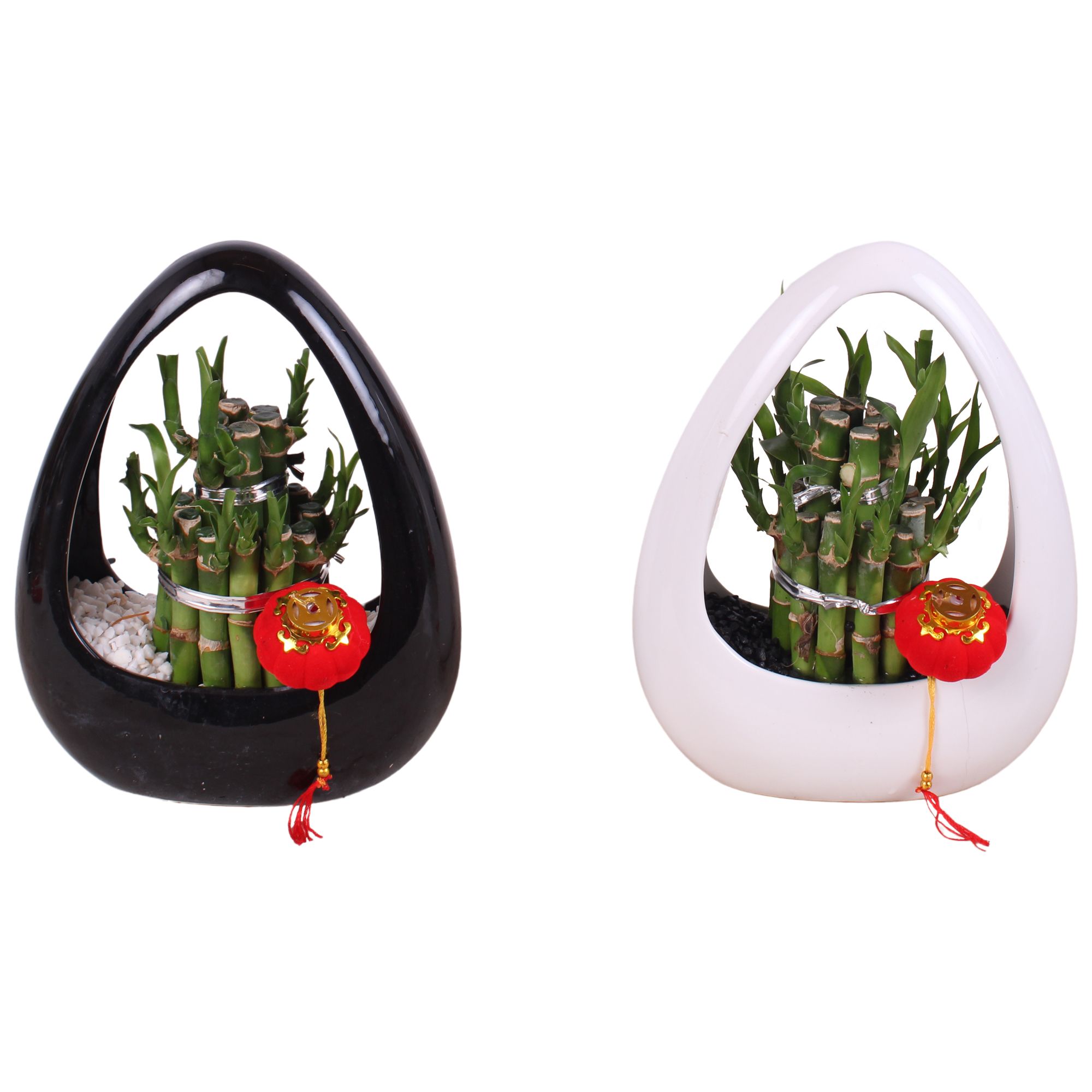 Lucky Bamboo Round 2Big in Ikebana Ceramic Black/White Ø19cm, D 19