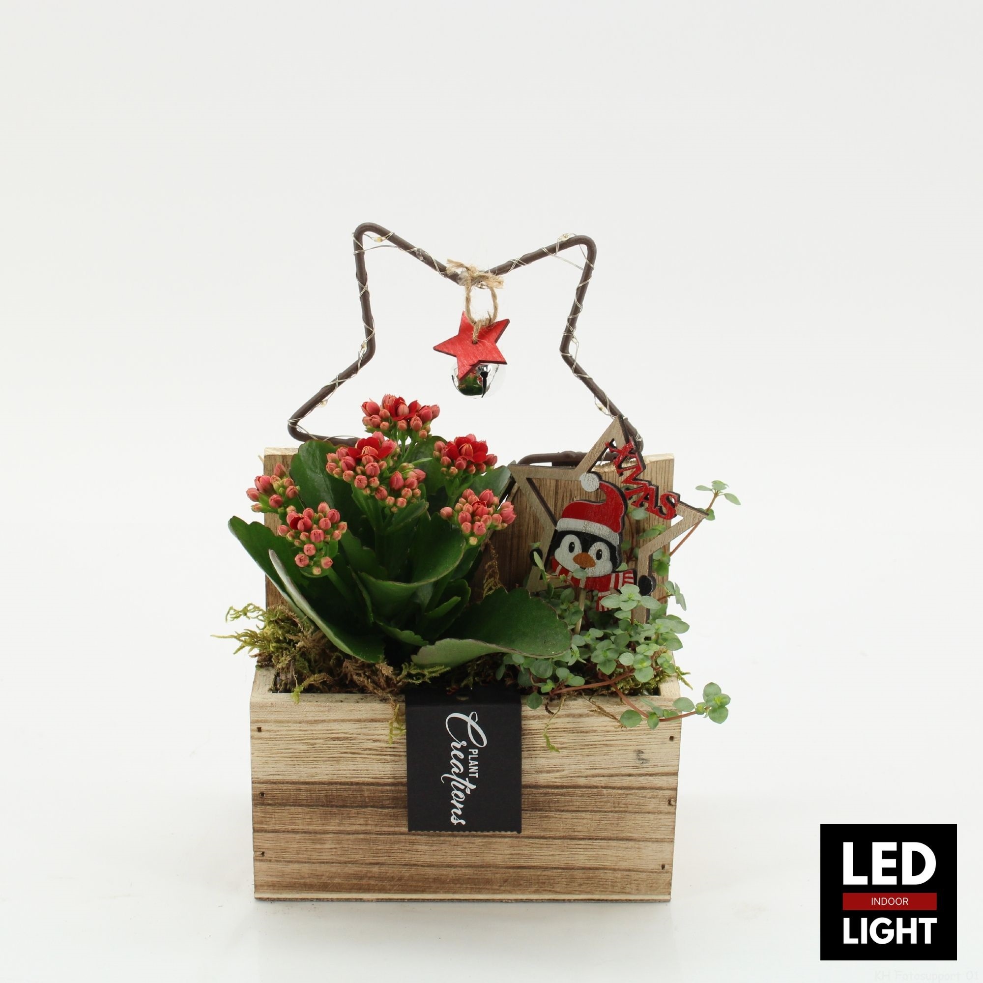 XMAS-25248LED Kerst creatie, D 15 cm XMAS-25248LED Kerst creatie, D 15 cm