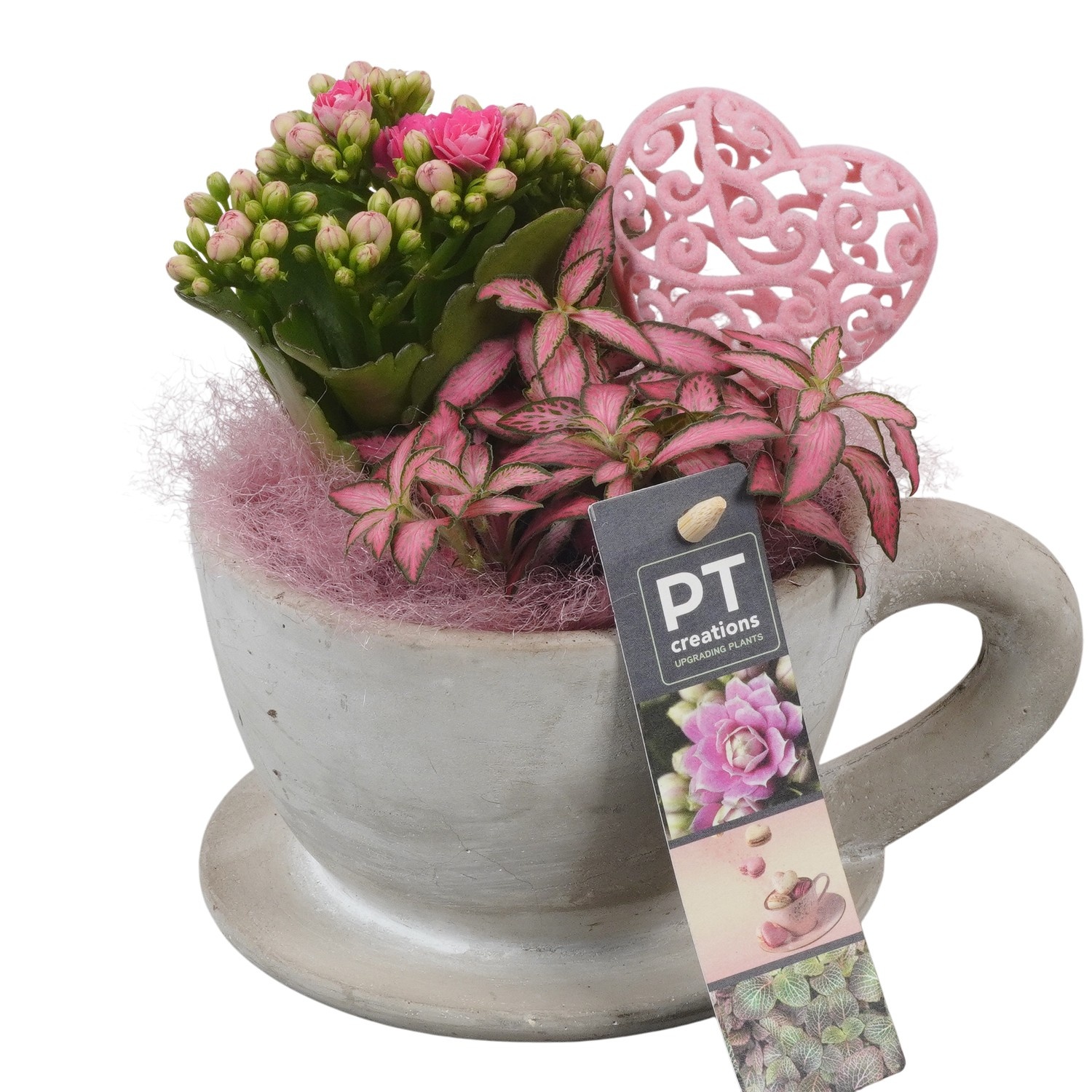 PTVMB2285 Arrangement Valentines-Mothersday in beton sierpot, D 14