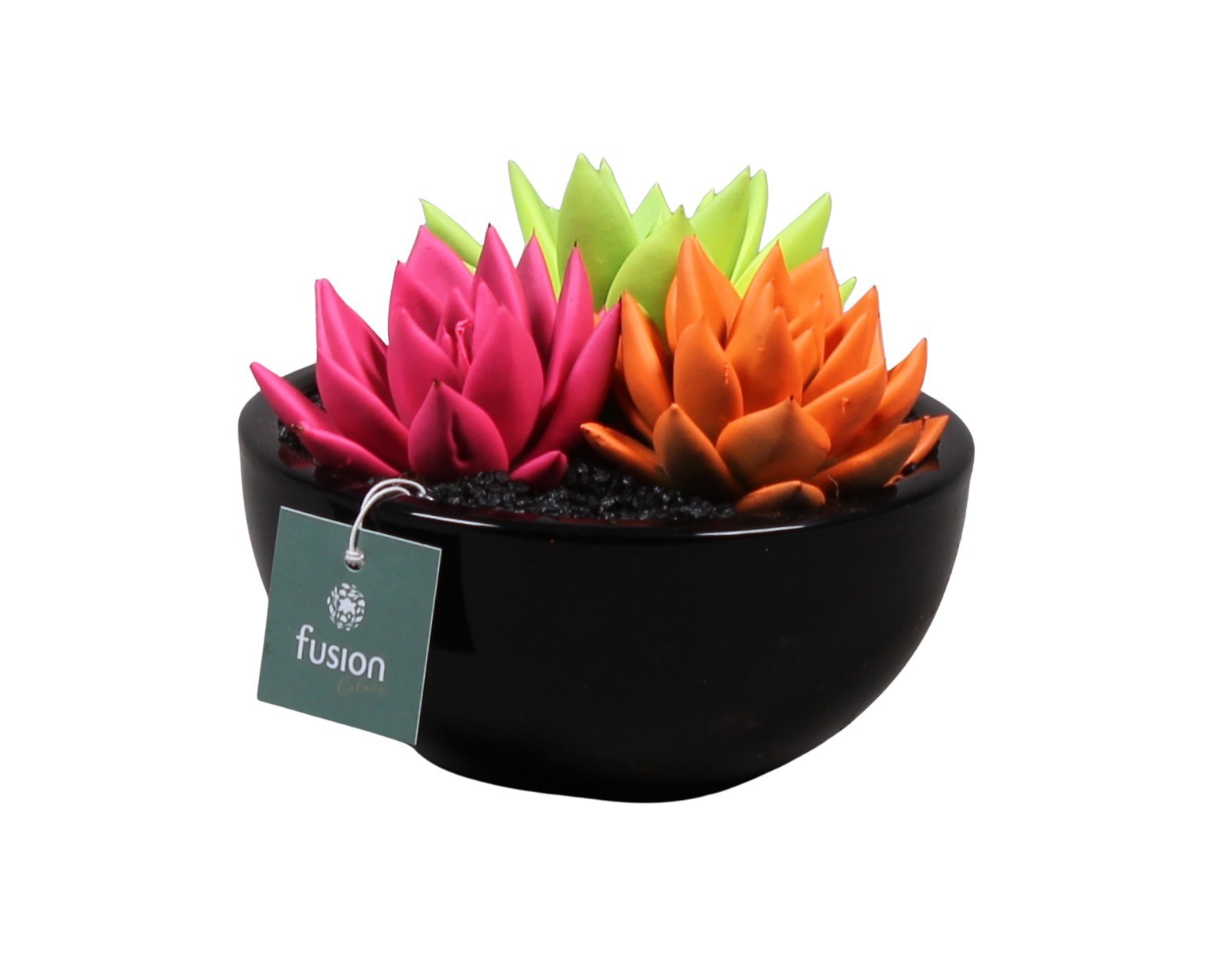 keramiek moonschaal met geverfde succulenten, D 15