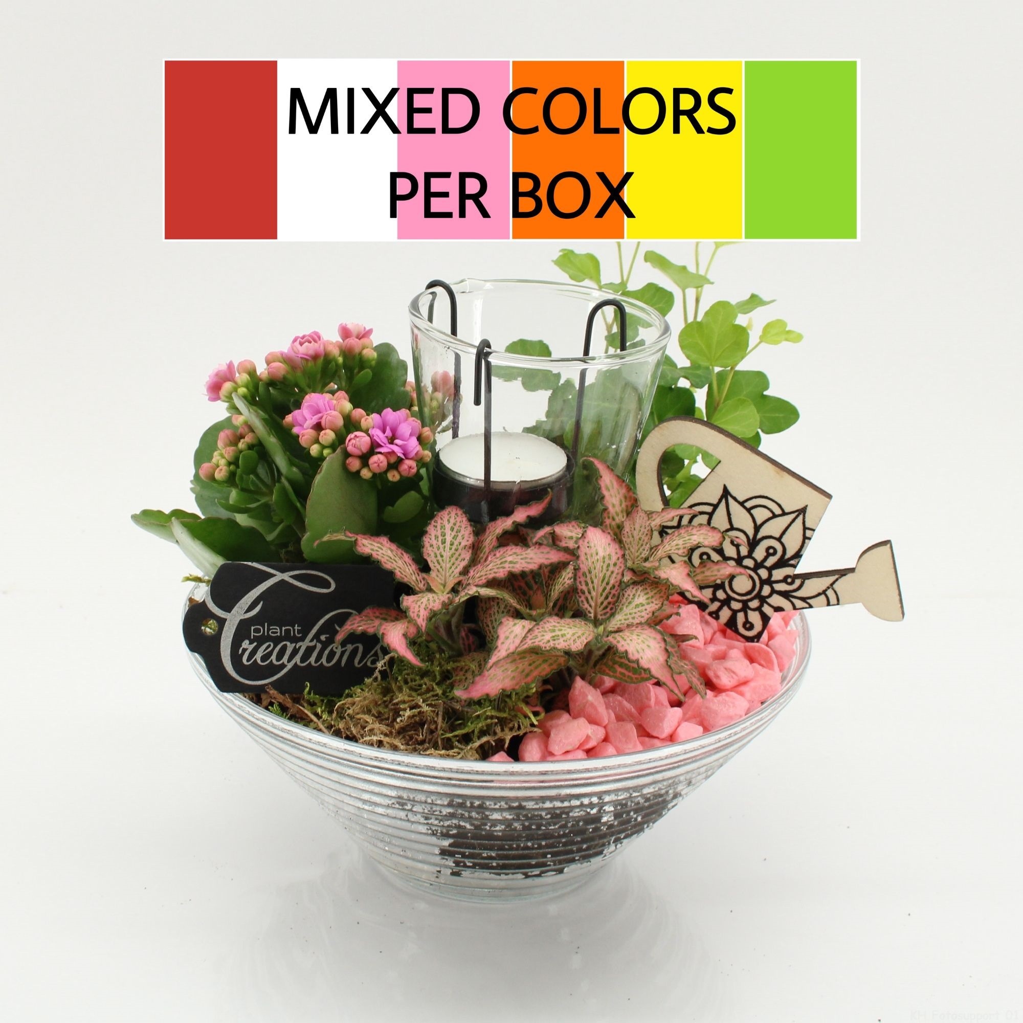 FDCR-2603M Basic Fundamentals, D 20