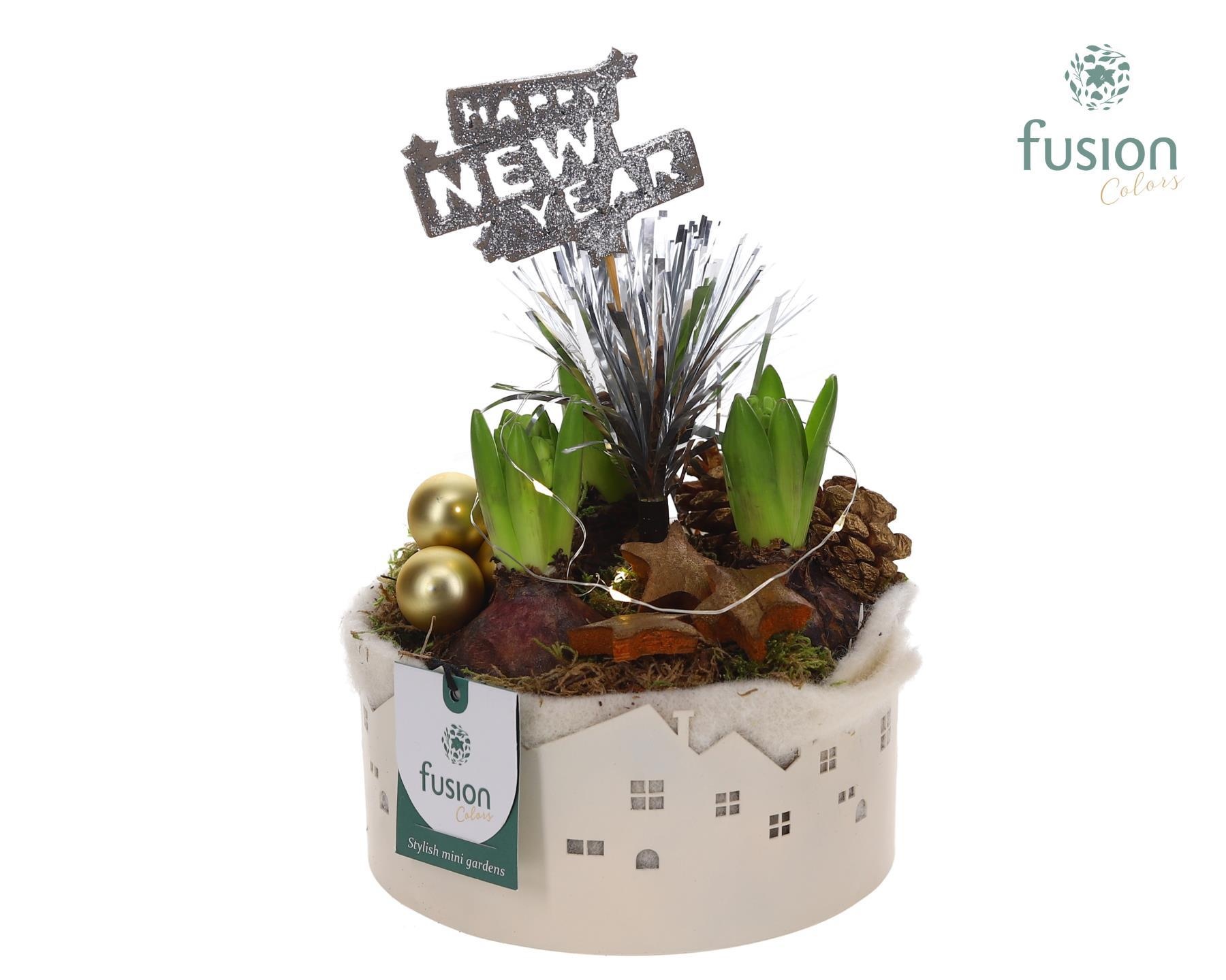 Zinken schaal Huisjes Small met LED Hyacinten Happy New Year, D 15