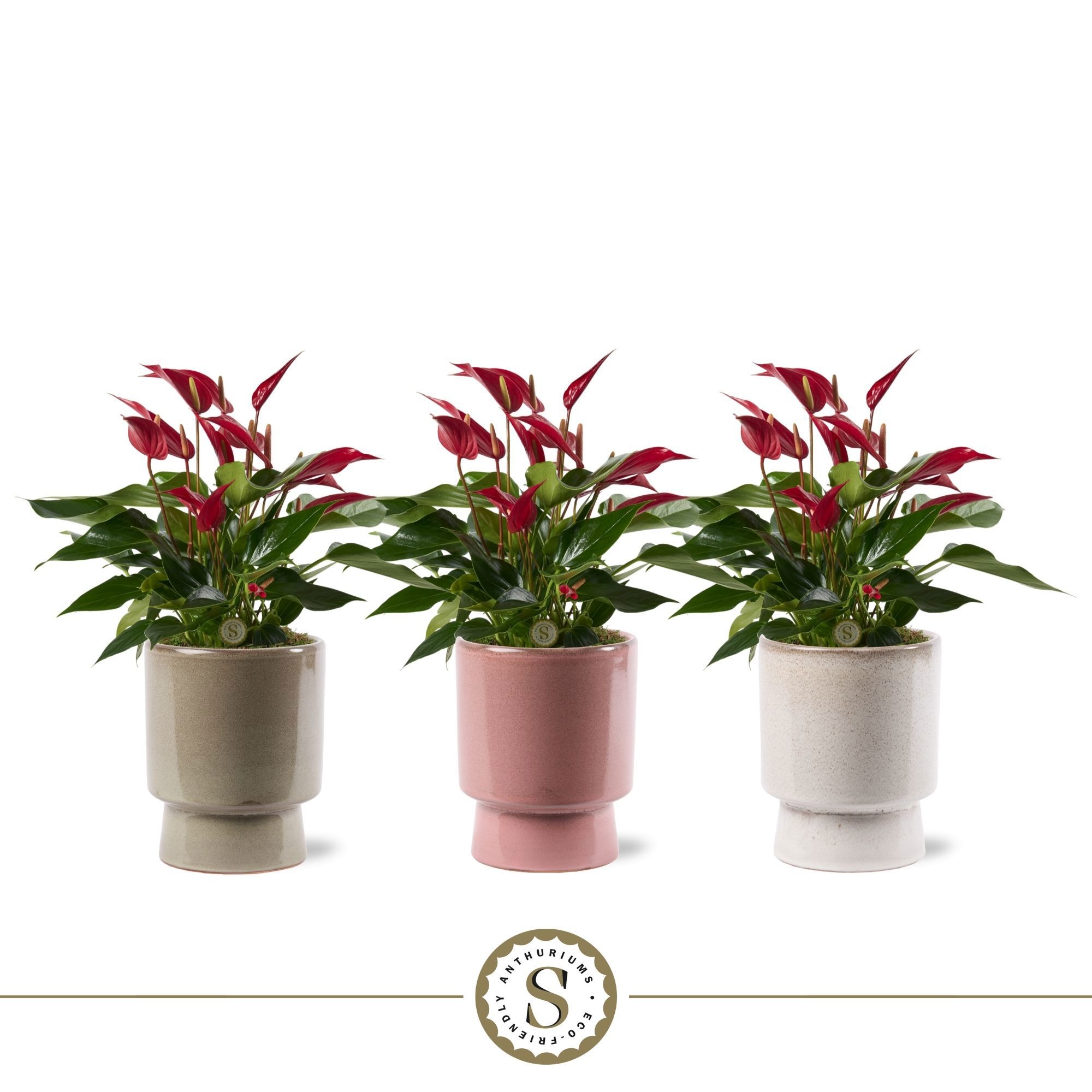 Toulouse Keramiek Roja, D 12