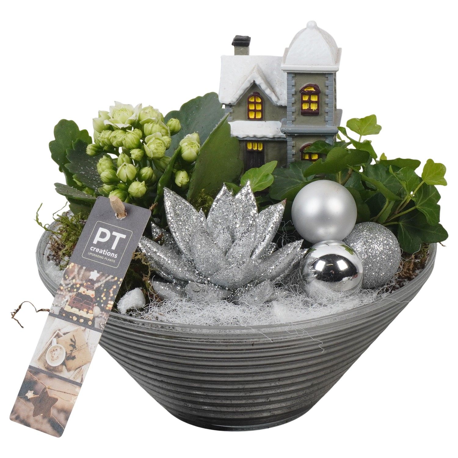 PTCHW4350 Arrangement Christmas White in glas schaal, D 19 cm