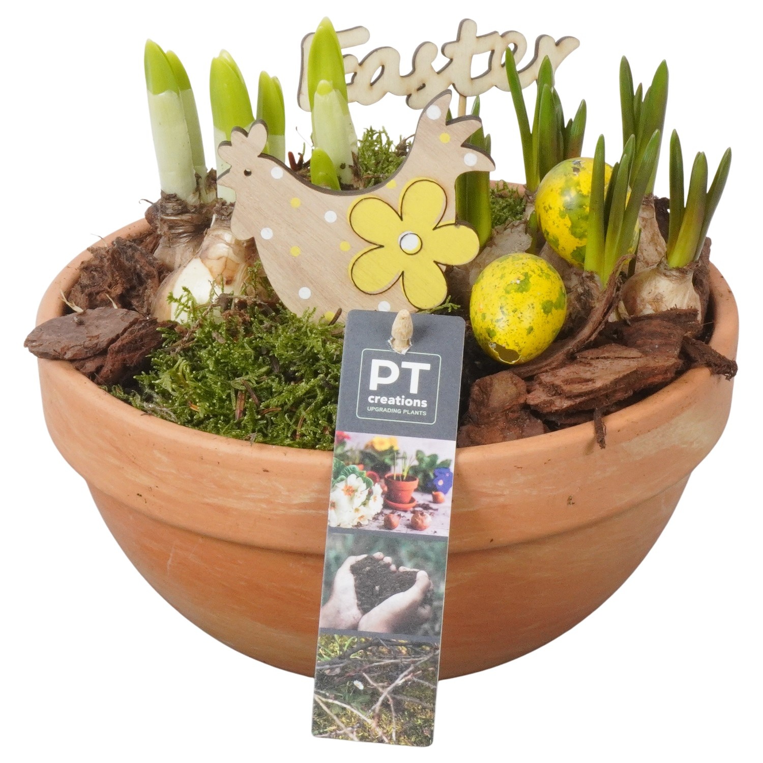 PTBMP5712 Arrangement Easter Bulbs Mix in terracotta schaal, D 19