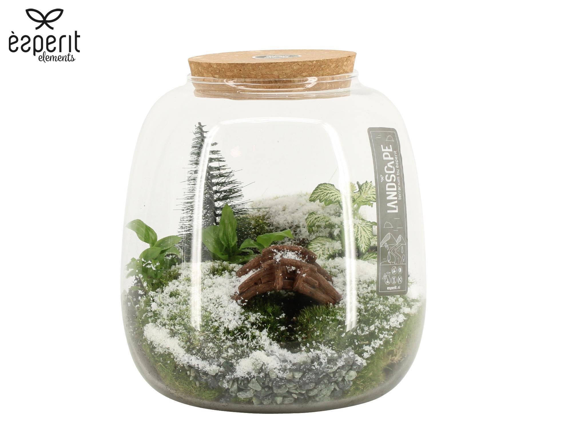 90955: X-mas Landscape terrarium arrangement, D 19