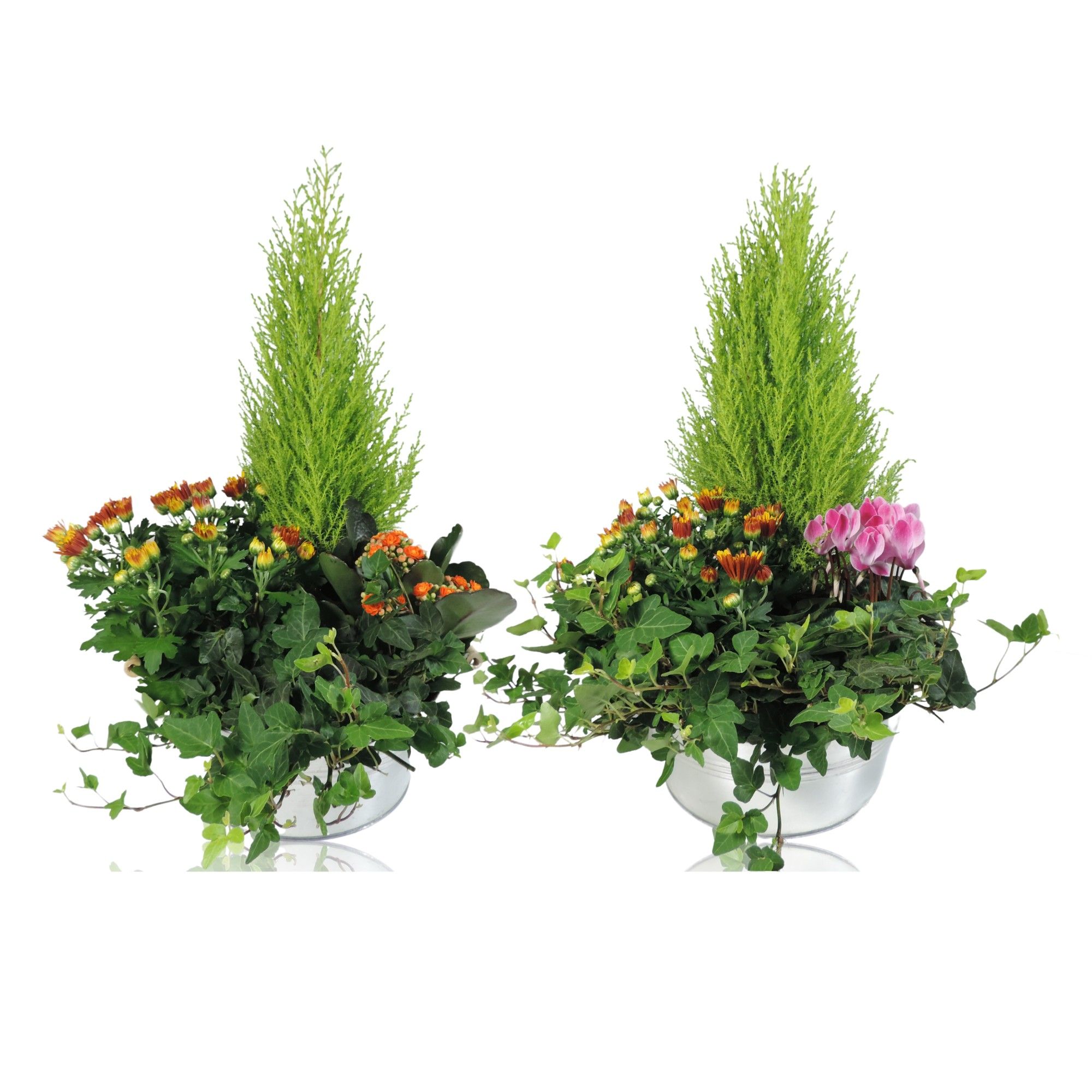 Arrangement Autumn Specials in Zinken schaal 25 cm, D 25