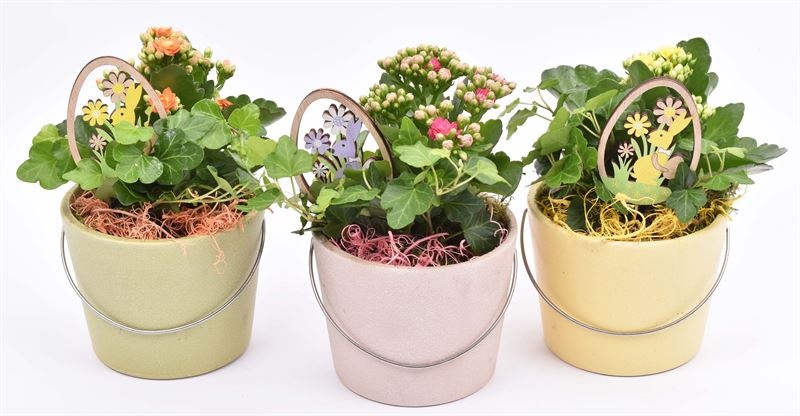 Keramiek kl.mix roze/groen/geel 12cm, D 12