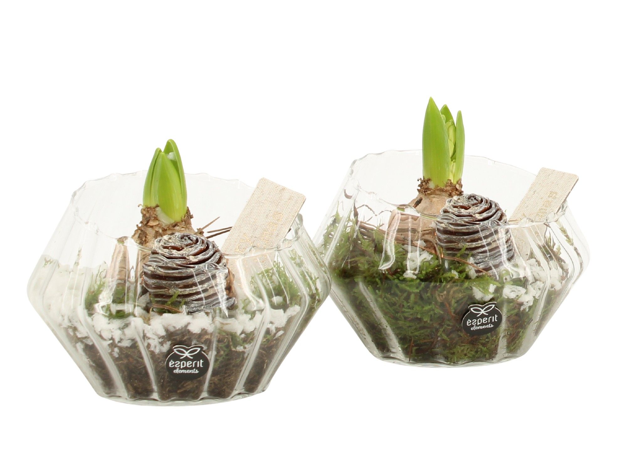 61960: X-mas arrangement, D 15