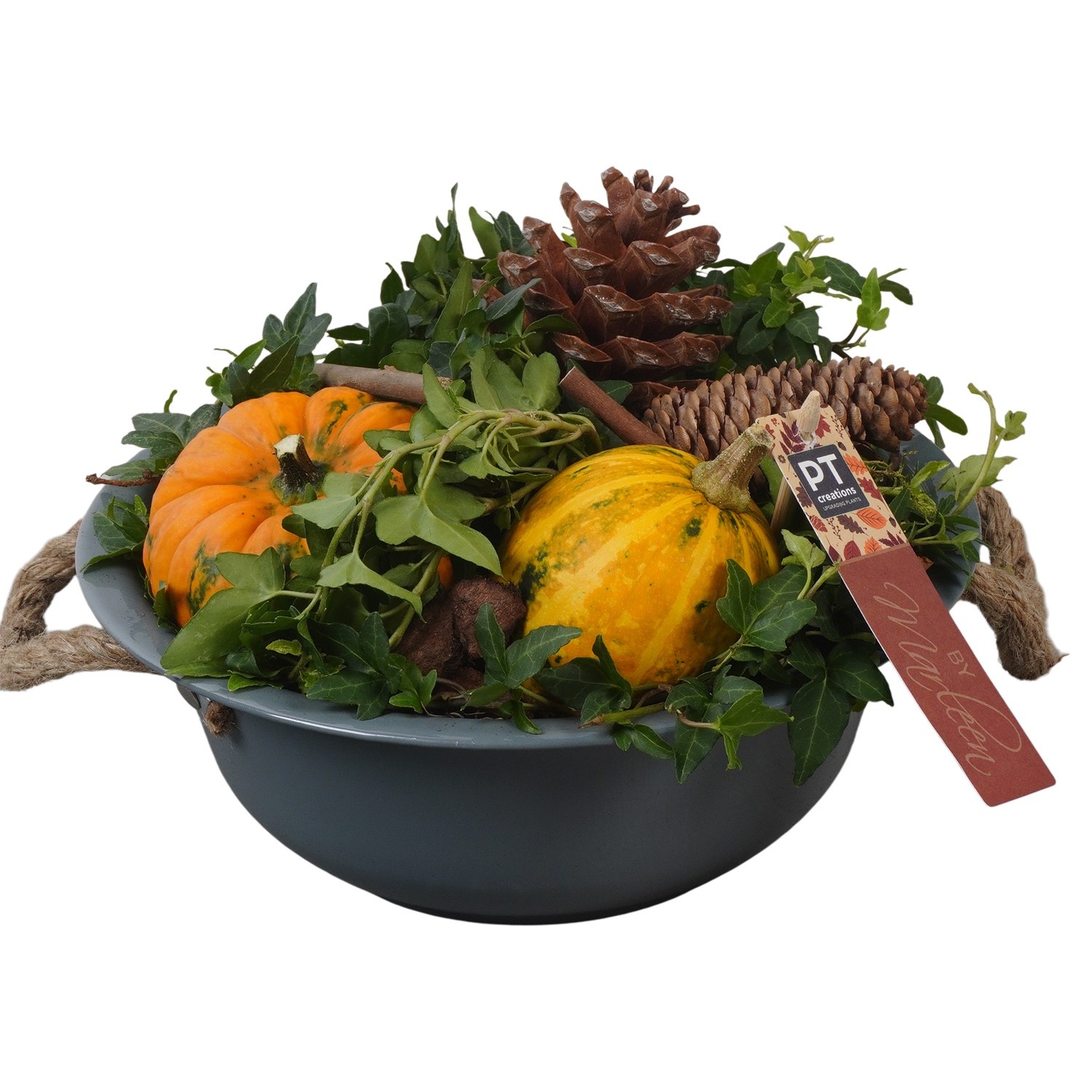 PTSF8203 Arrangement Kalebas hedera in metalen schaal, D 24 cm