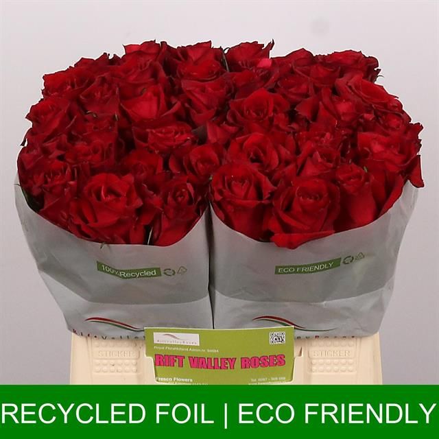 Роза од. Эвер Рэд 40, шт.
