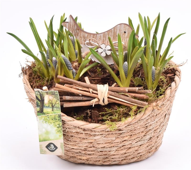 Jute mand ovaal 23x18.5cm, D 21