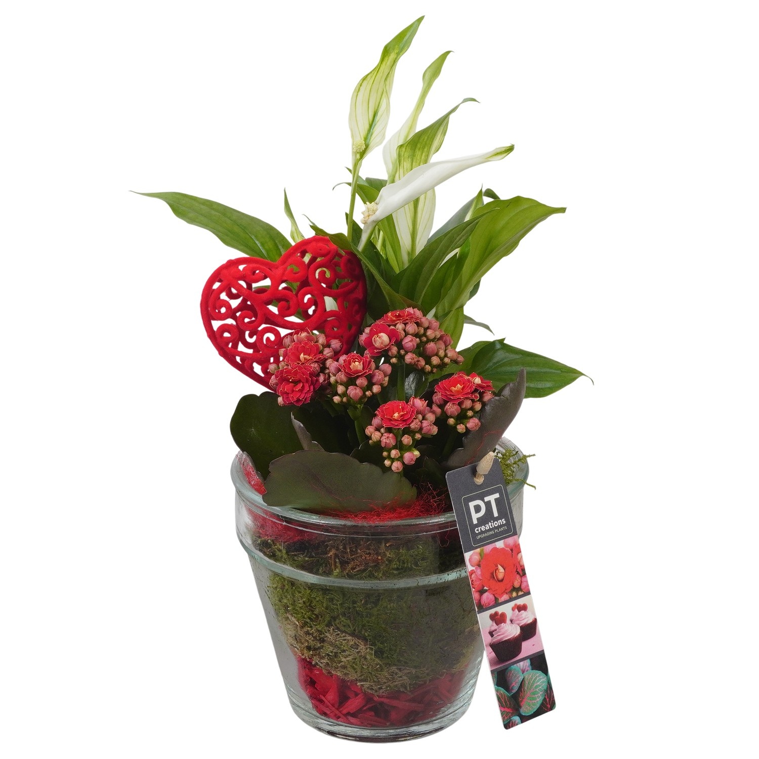 PTVMG4960 Arrangement Valentines-Mothersday in glas vaas, D 13