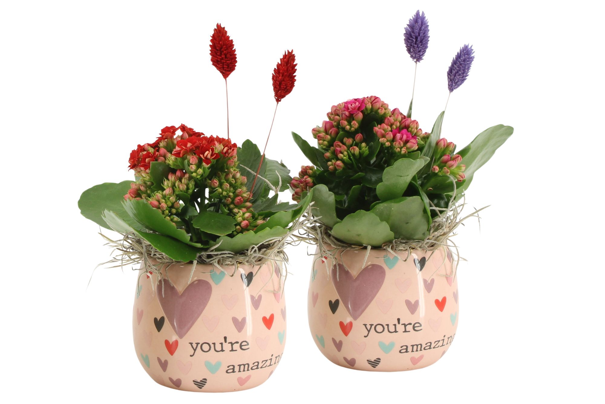 21583: Lovess arrangement, D 9,5