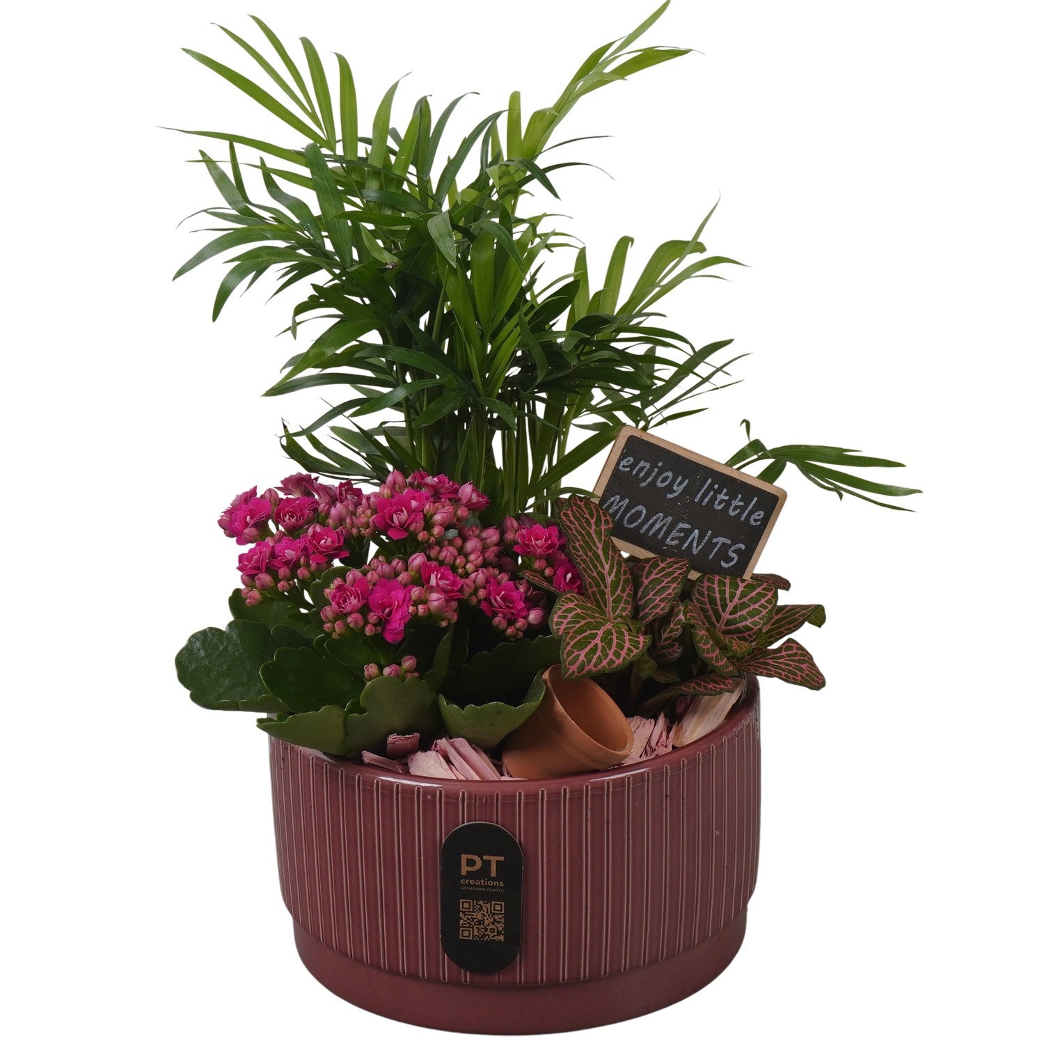 PTIB5109 Arrangement Indoor in keramiek schaal, D 16