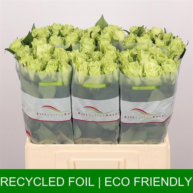 Роза од. Камуфляж! 60, шт.