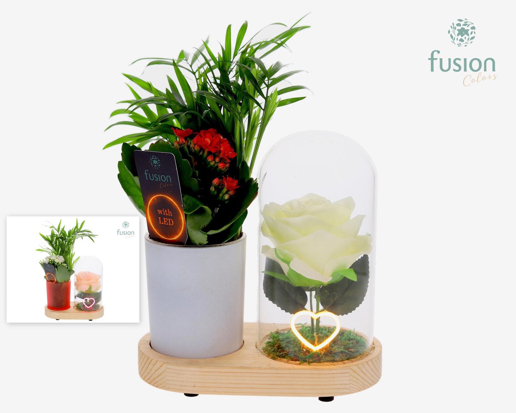 LED Lichtbal Hart houten planter met arrangement, D 17